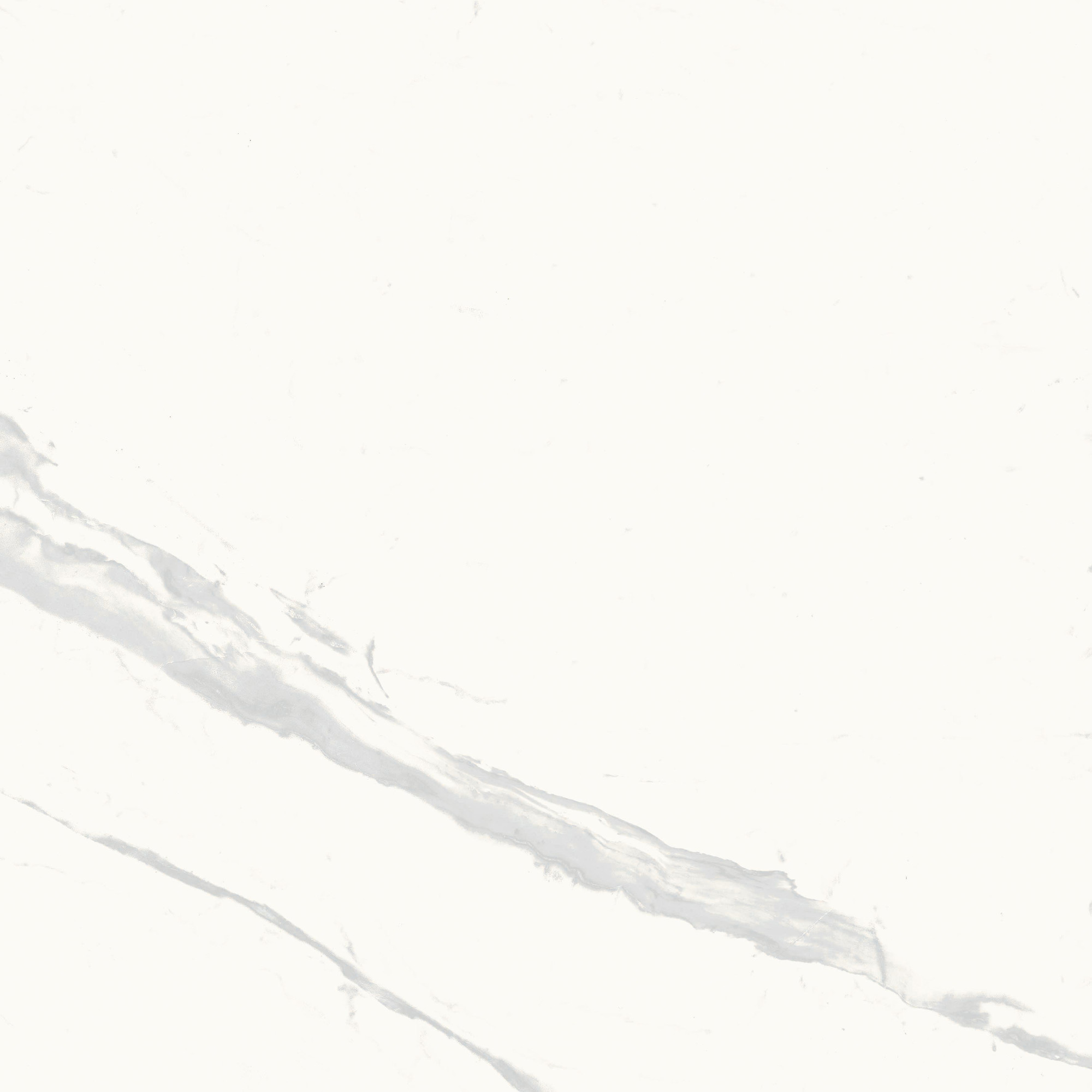 Calacatta Calma Matte Porcelain Tile