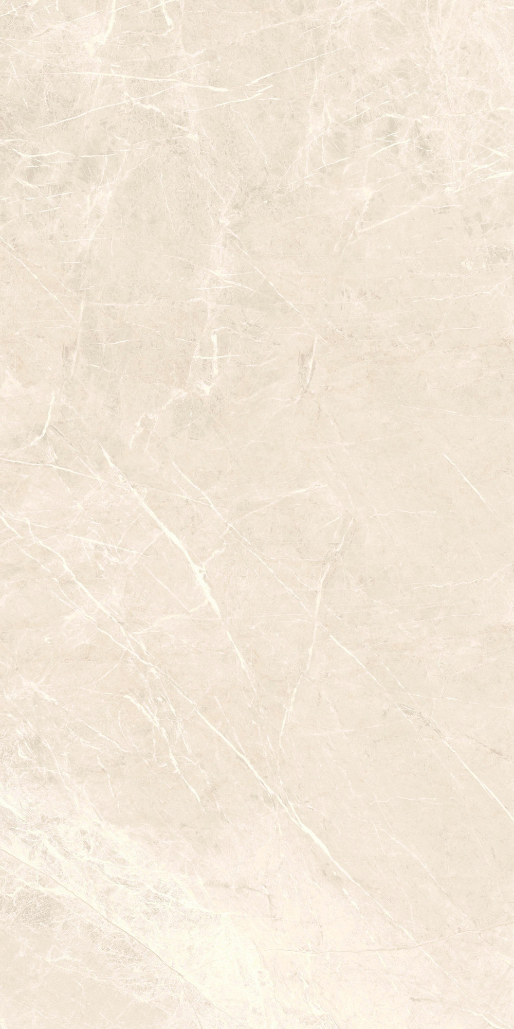 Prestij Matte Bone Porcelain Tile