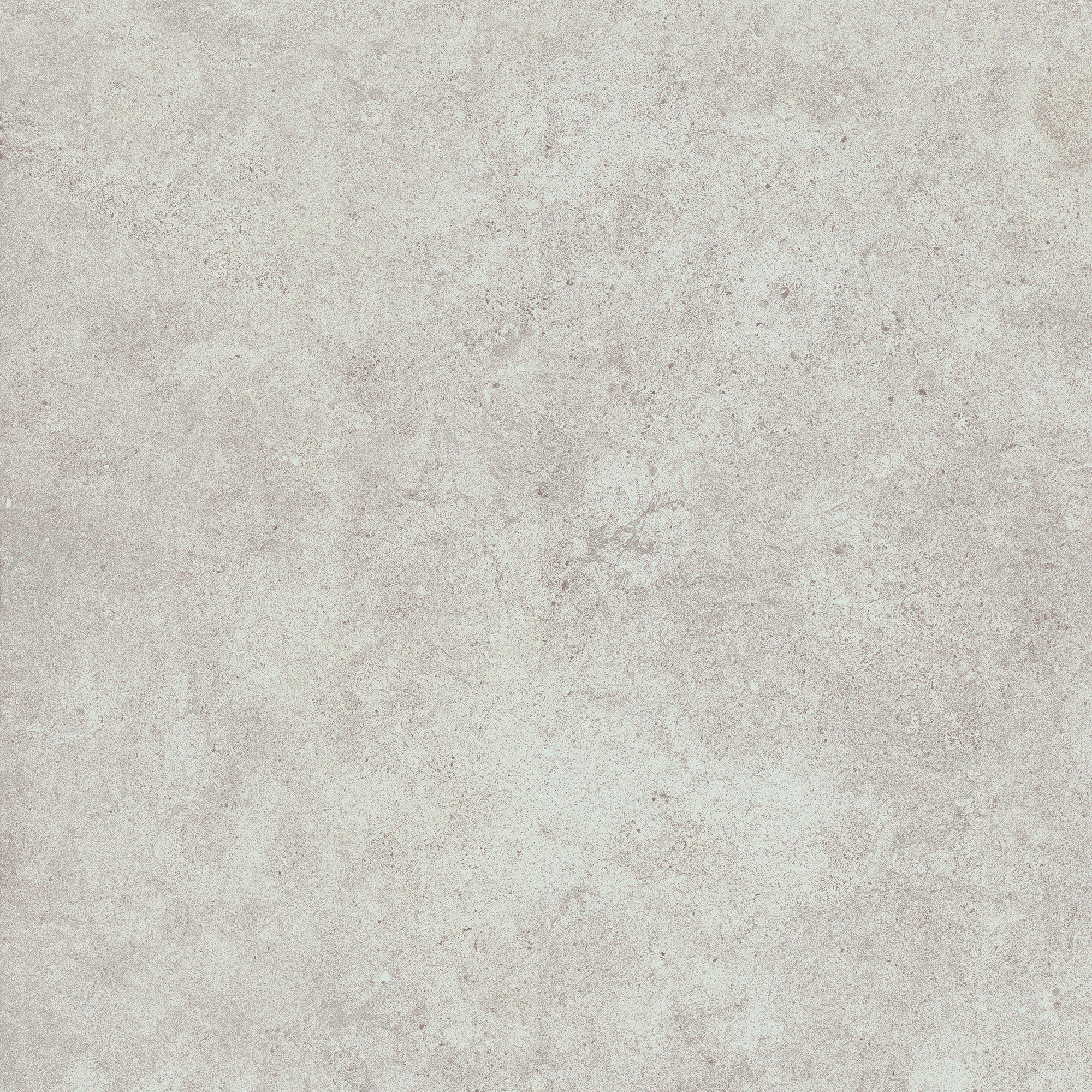 Cement 2.0 Matte Cold Grey Porcelain Tile