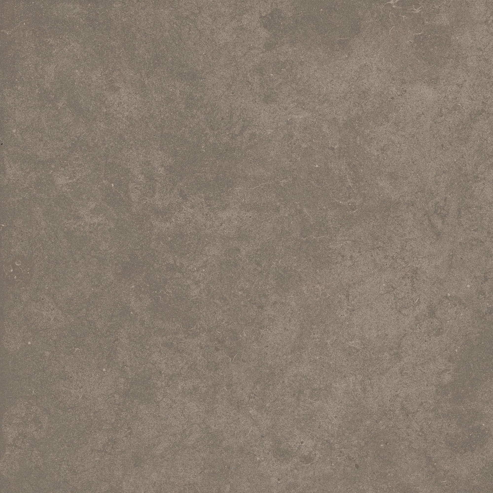 Cement 2.0 Matte Soil Porcelain Tile