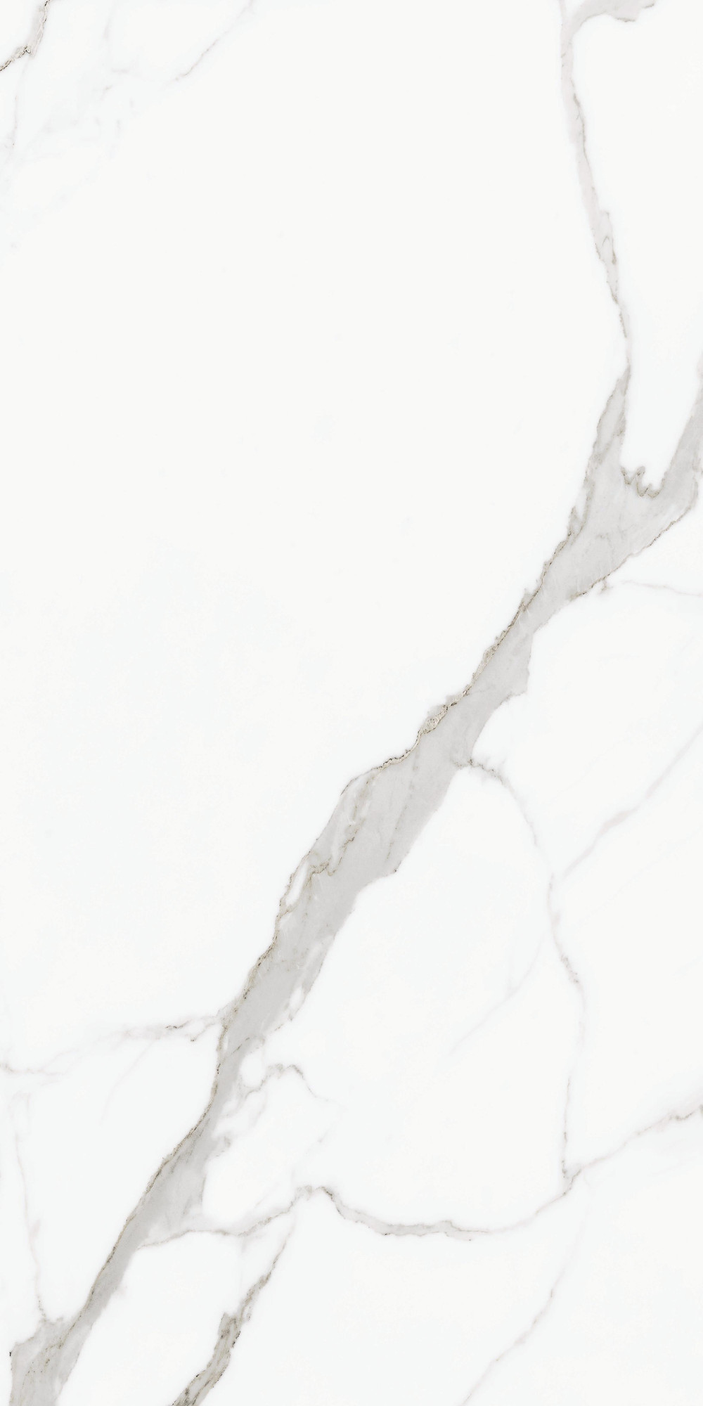 Calacatta Unique Matte Porcelain Tile