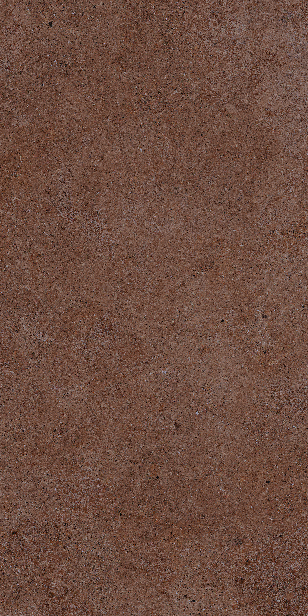 Aterna Cotto Matte Porcelain Tile 60x120