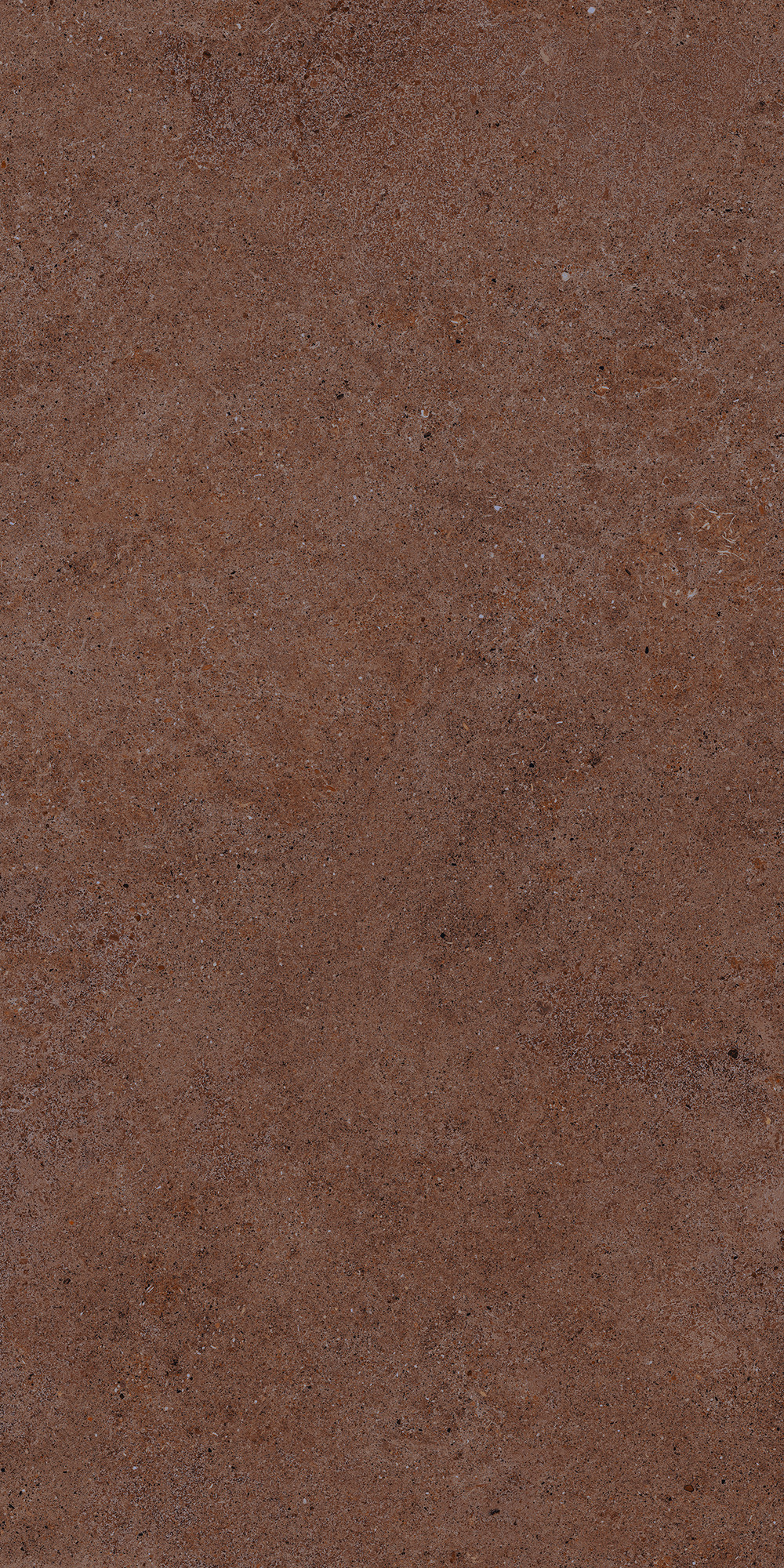 Aterna Cotto Matte Porcelain Tile 60x120