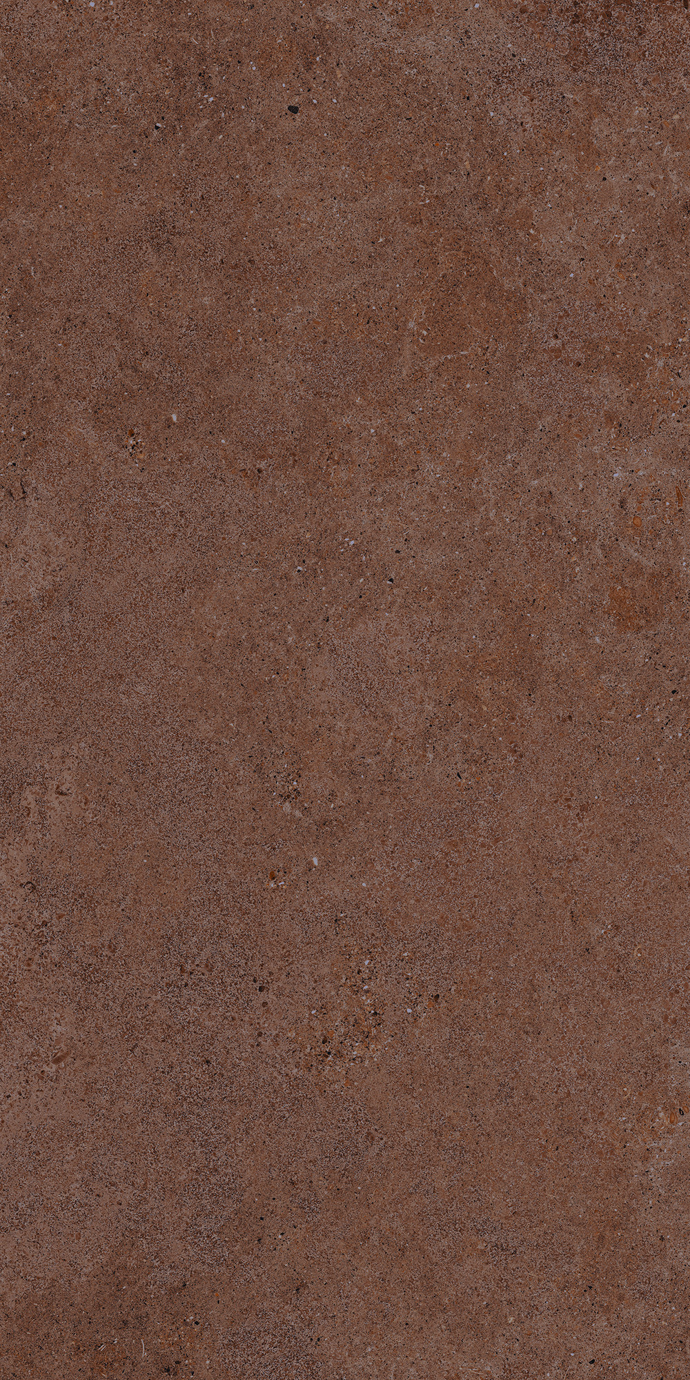 Aterna Cotto Matte Porcelain Tile 60x120