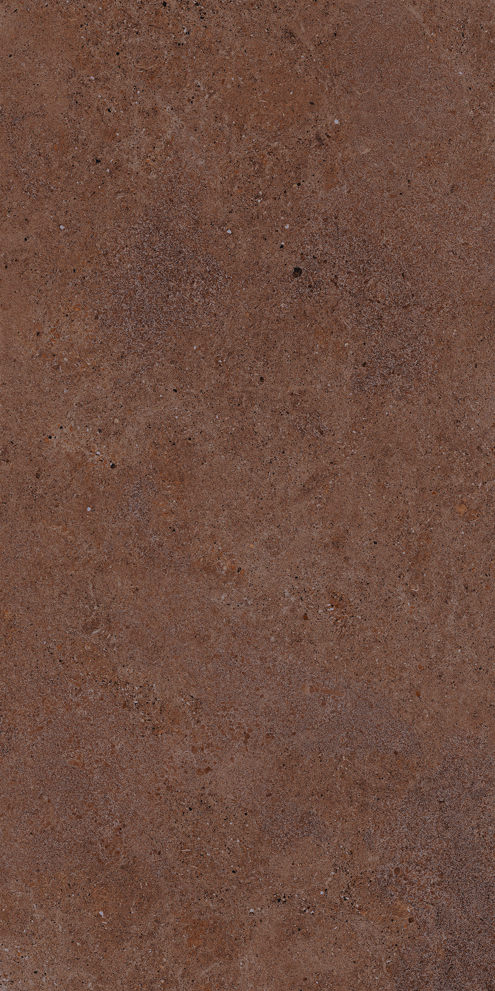 Aterna Cotto Matte Porcelain Tile 60x120