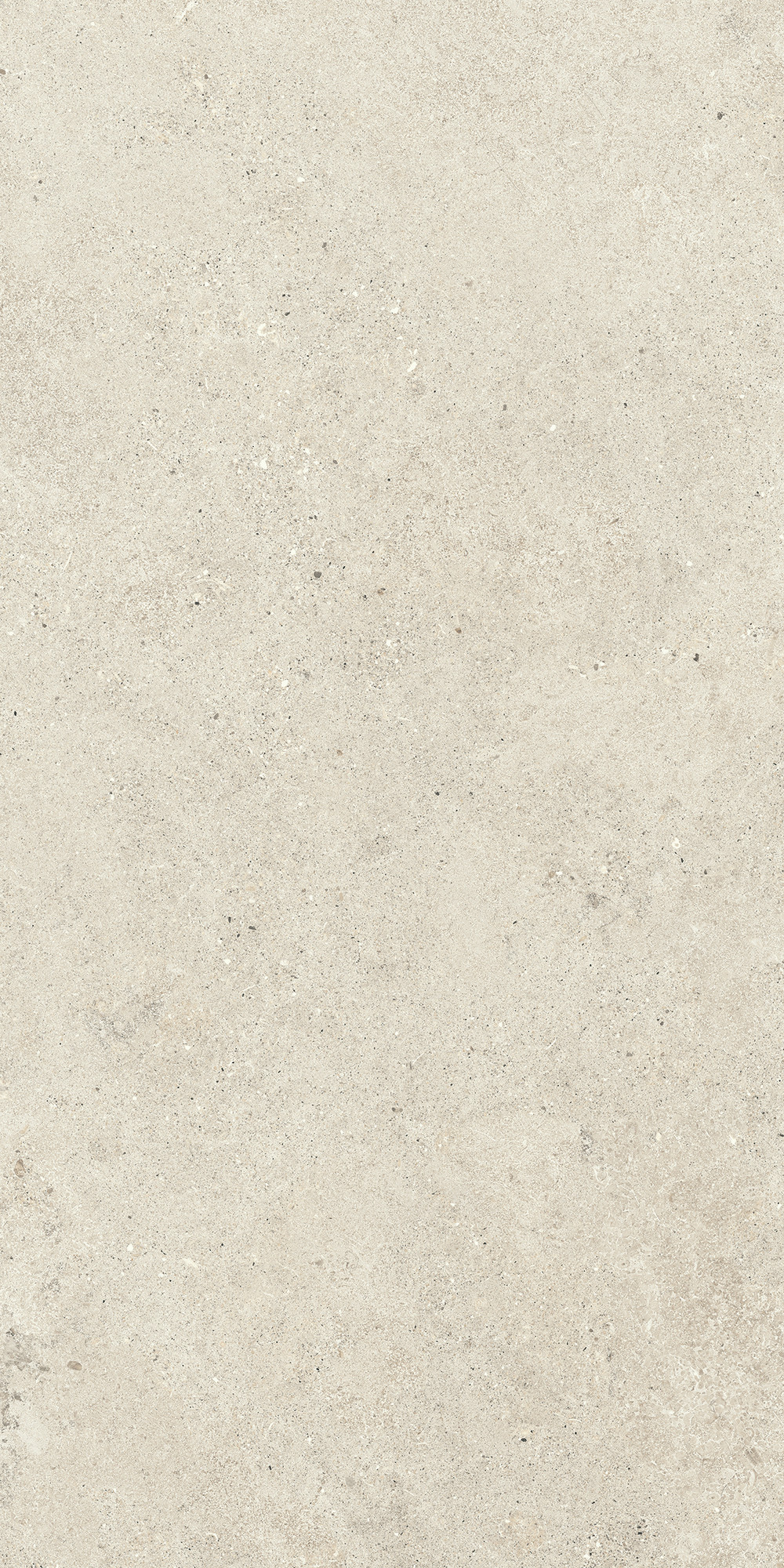 Aterna Ivory Matte Porcelain Tile 60x120