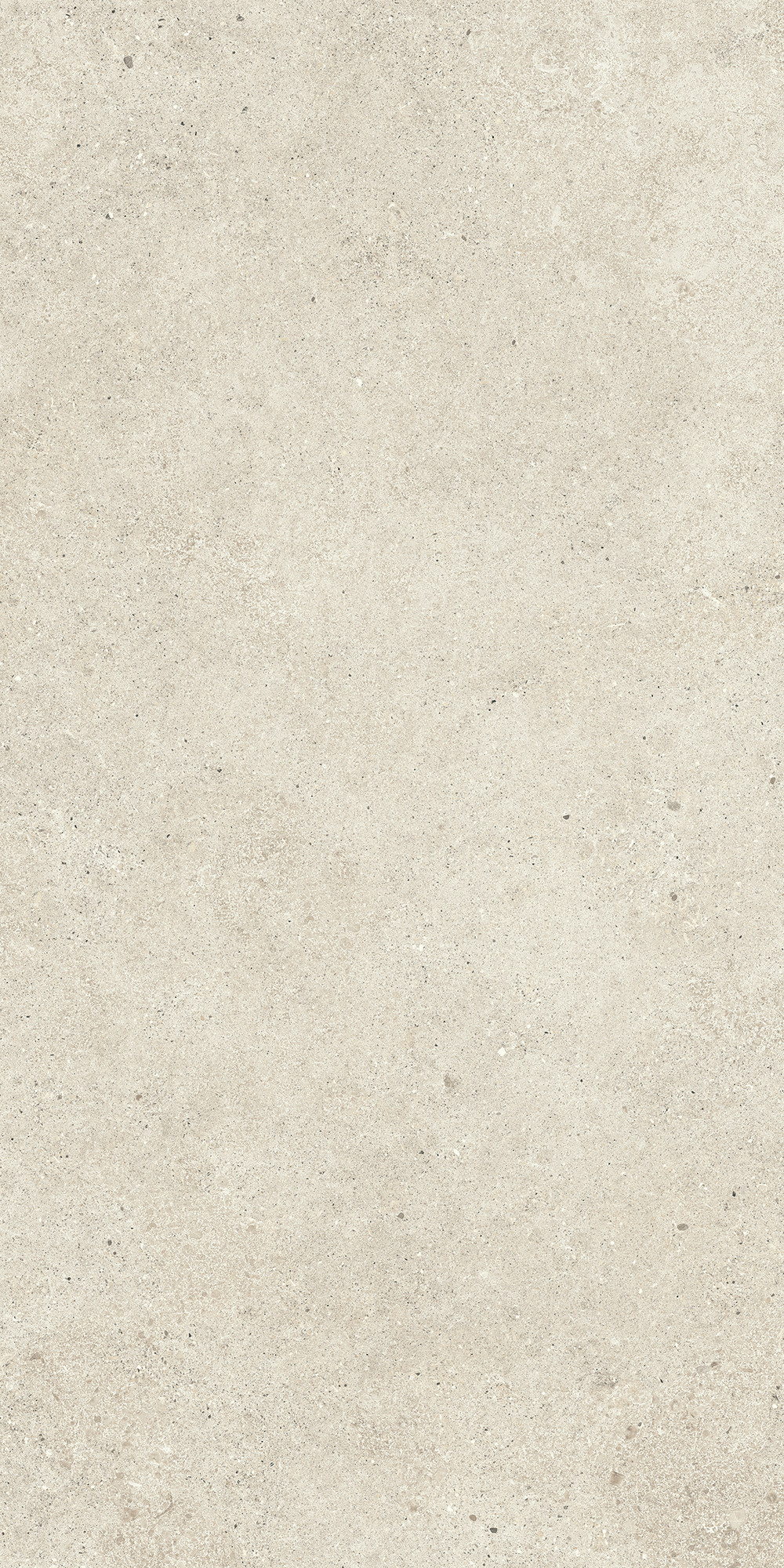 Aterna Ivory Matte Porcelain Tile 60x120