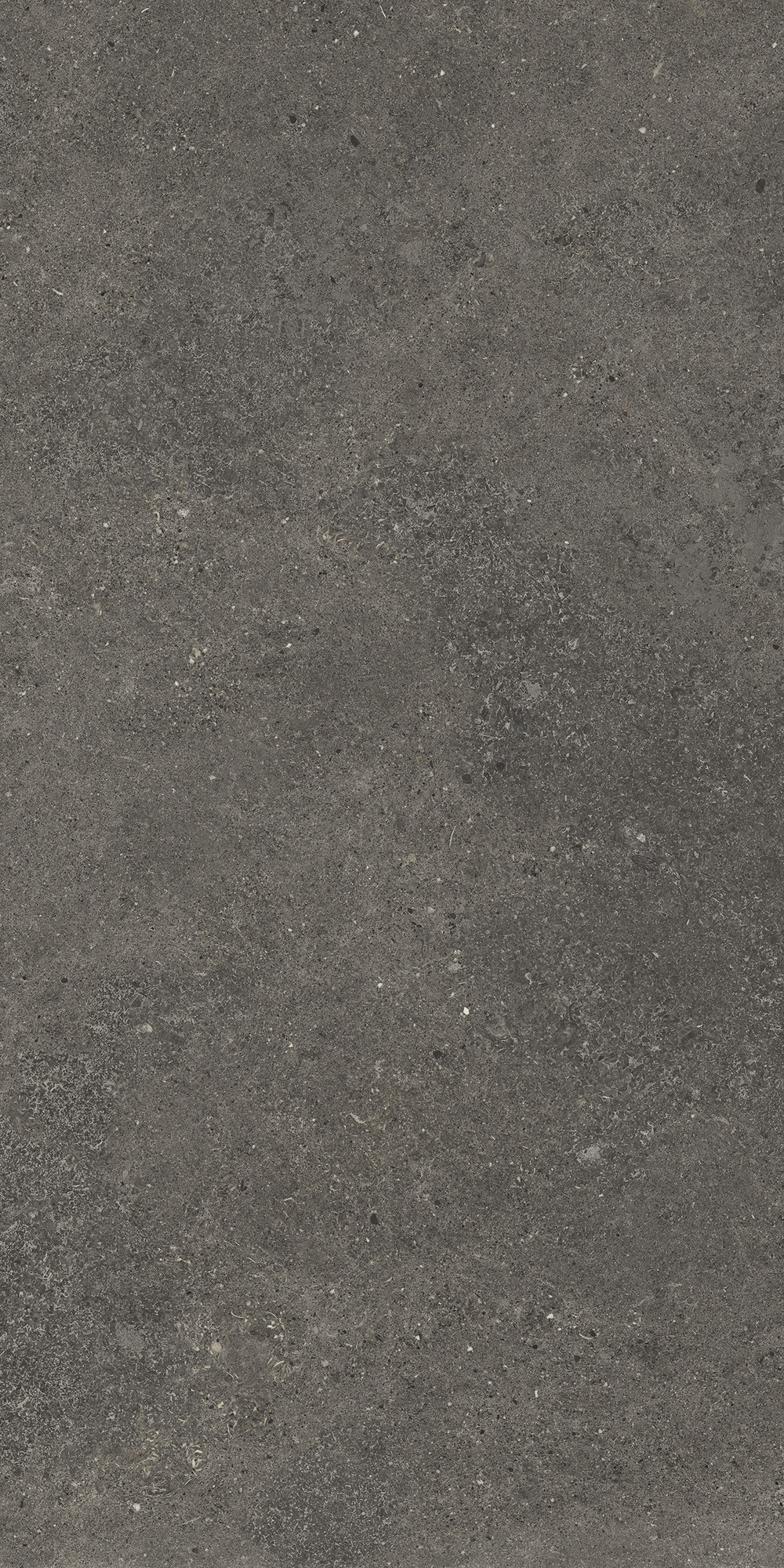Aterna Smoke Matte Porcelain Tile 60x120