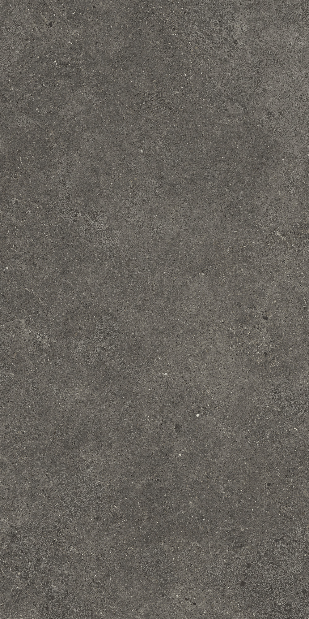 Aterna Smoke Matte Porcelain Tile 60x120