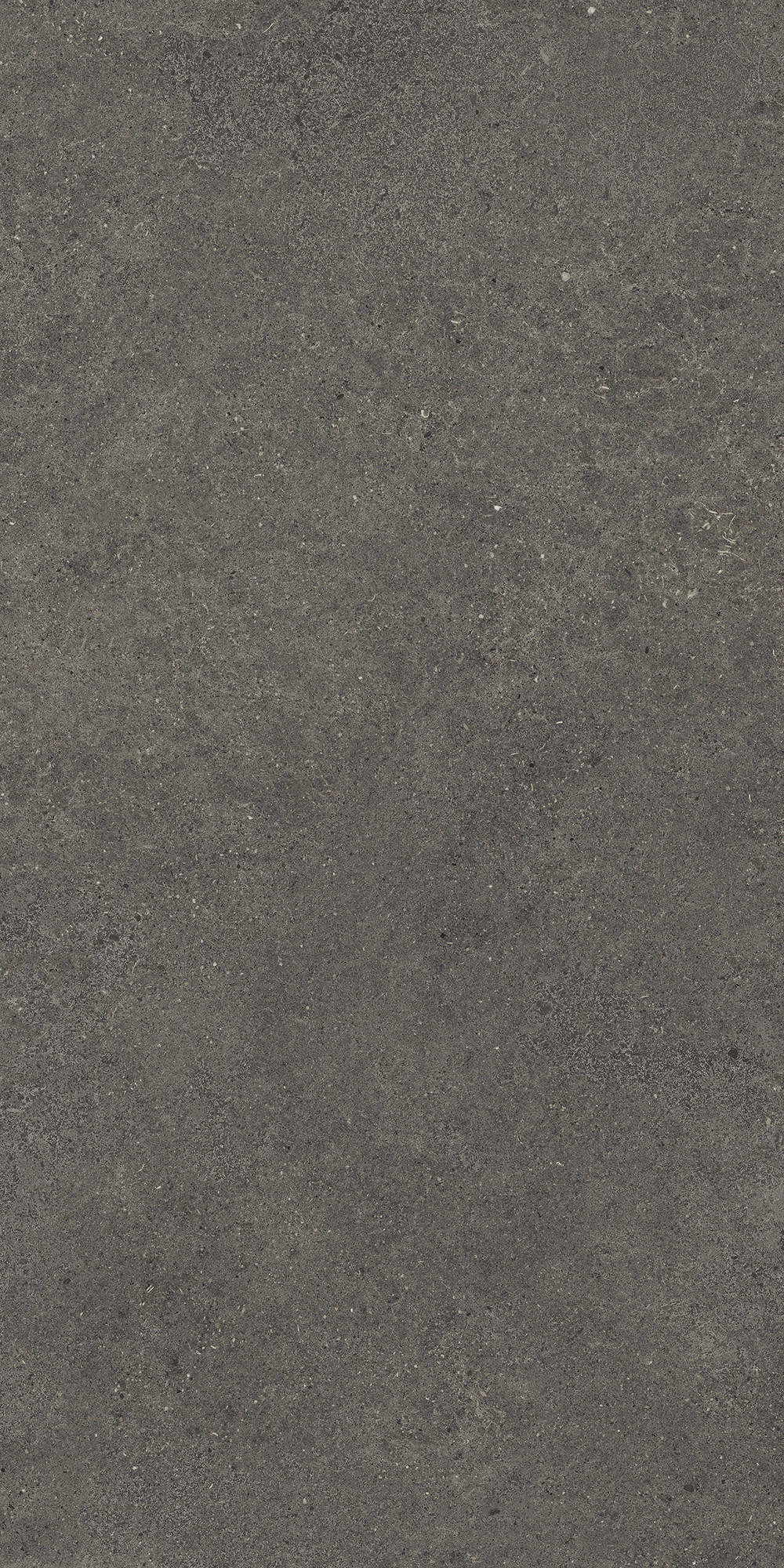 Aterna Smoke Matte Porcelain Tile 60x120
