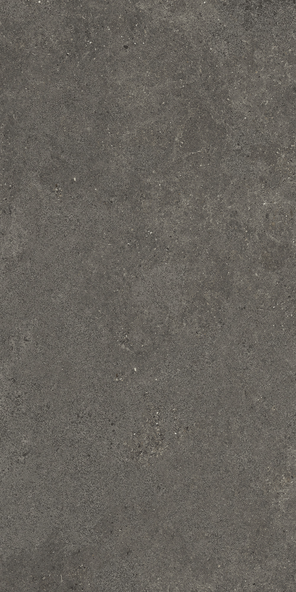 Aterna Smoke Matte Porcelain Tile 60x120