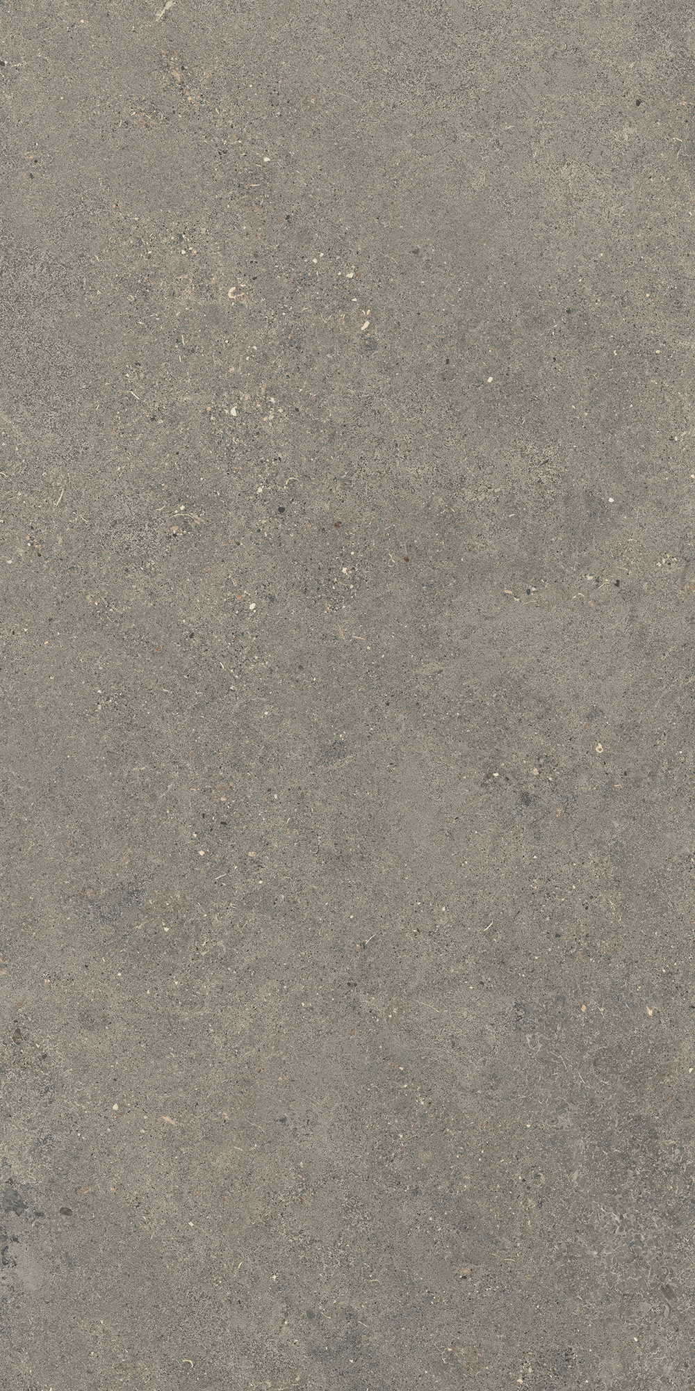Aterna Taupe Matte Porcelain Tile 60x120