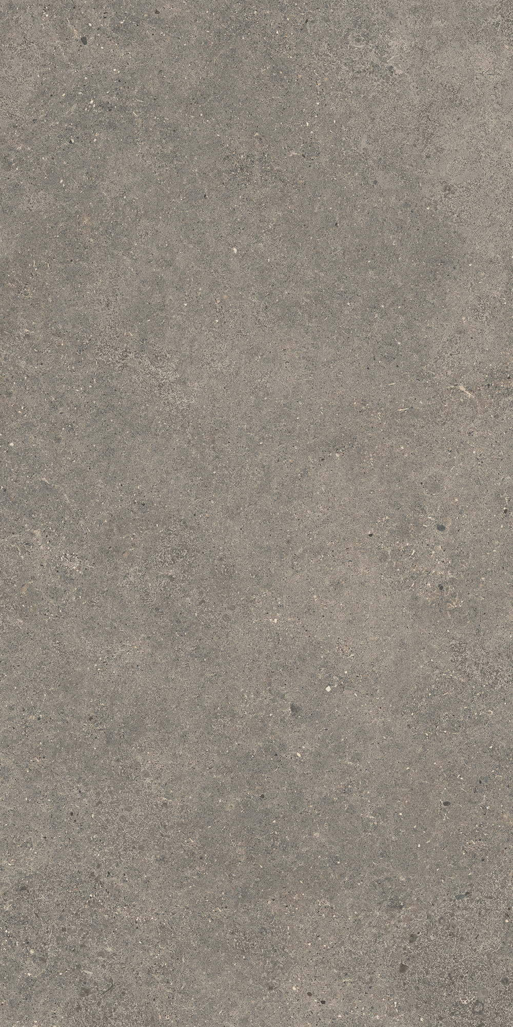 Aterna Taupe Matte Porcelain Tile 60x120