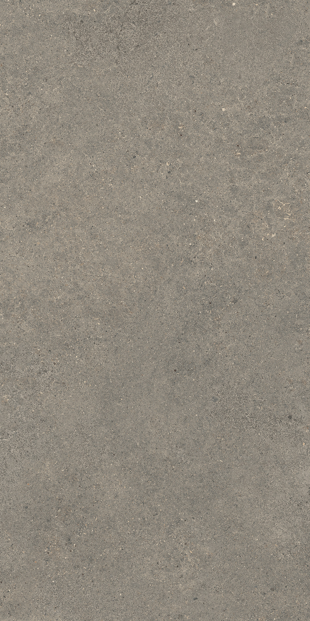 Aterna Taupe Matte Porcelain Tile 60x120