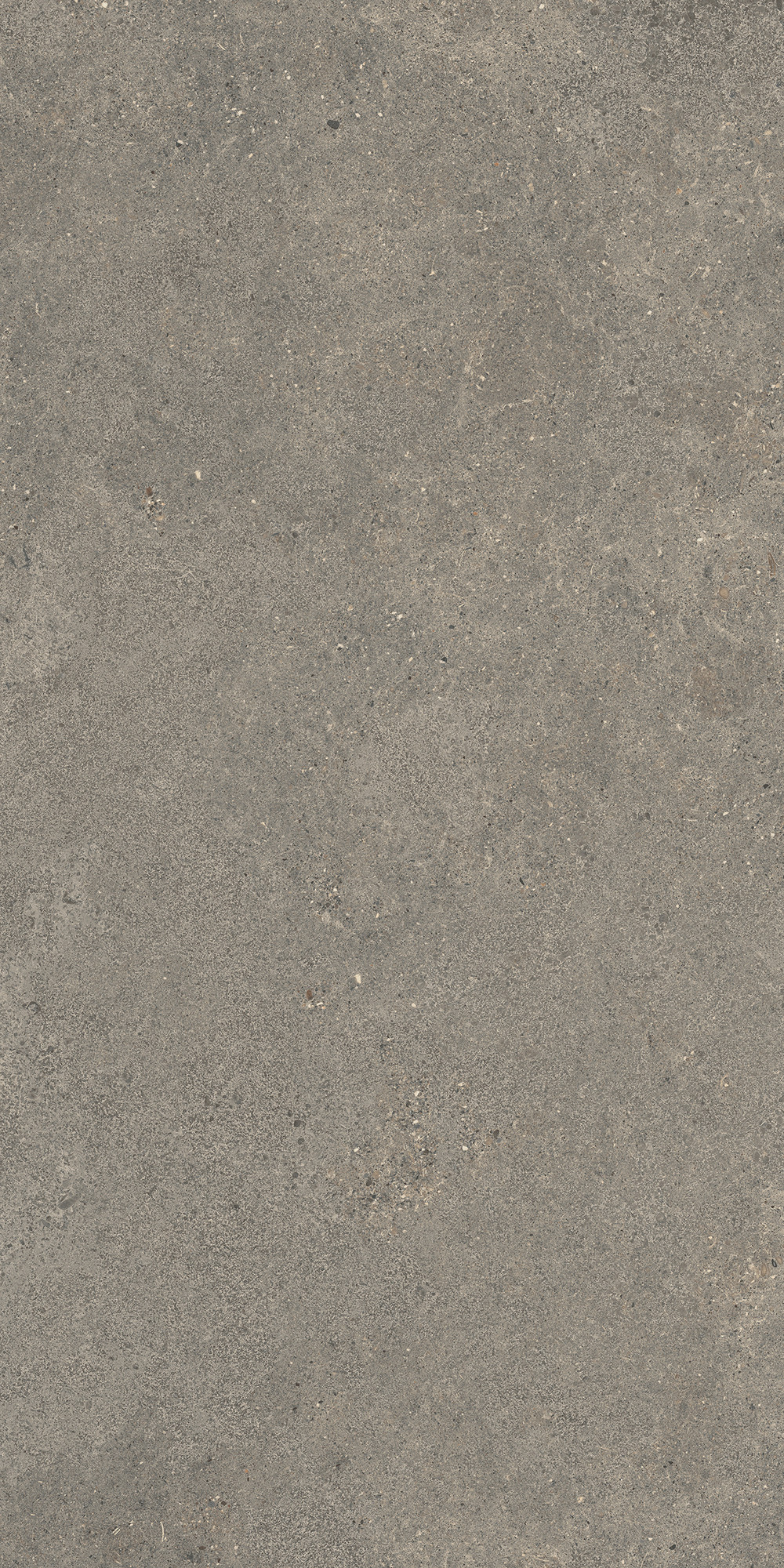 Aterna Taupe Matte Porcelain Tile 60x120
