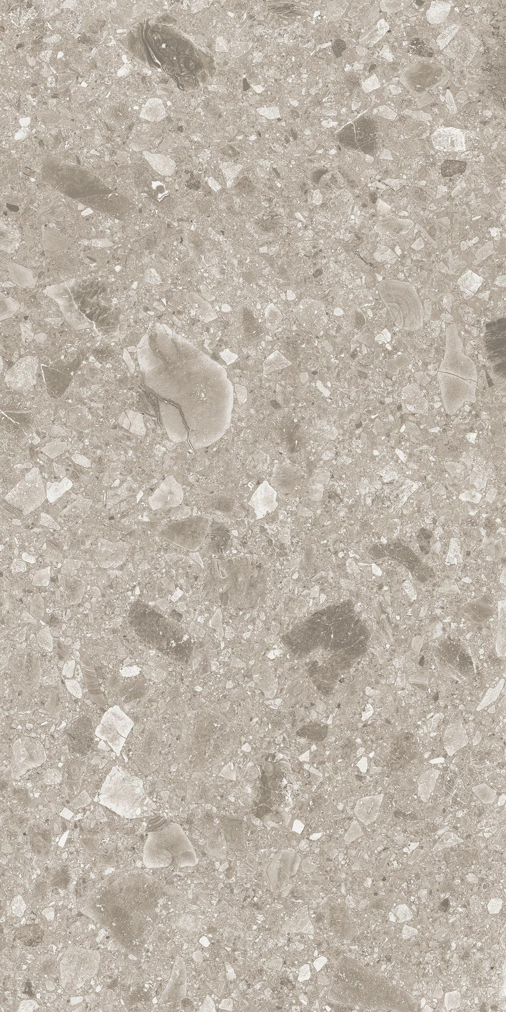 Pietra Di Gre Taupe Matte Porcelain Tile 60x120