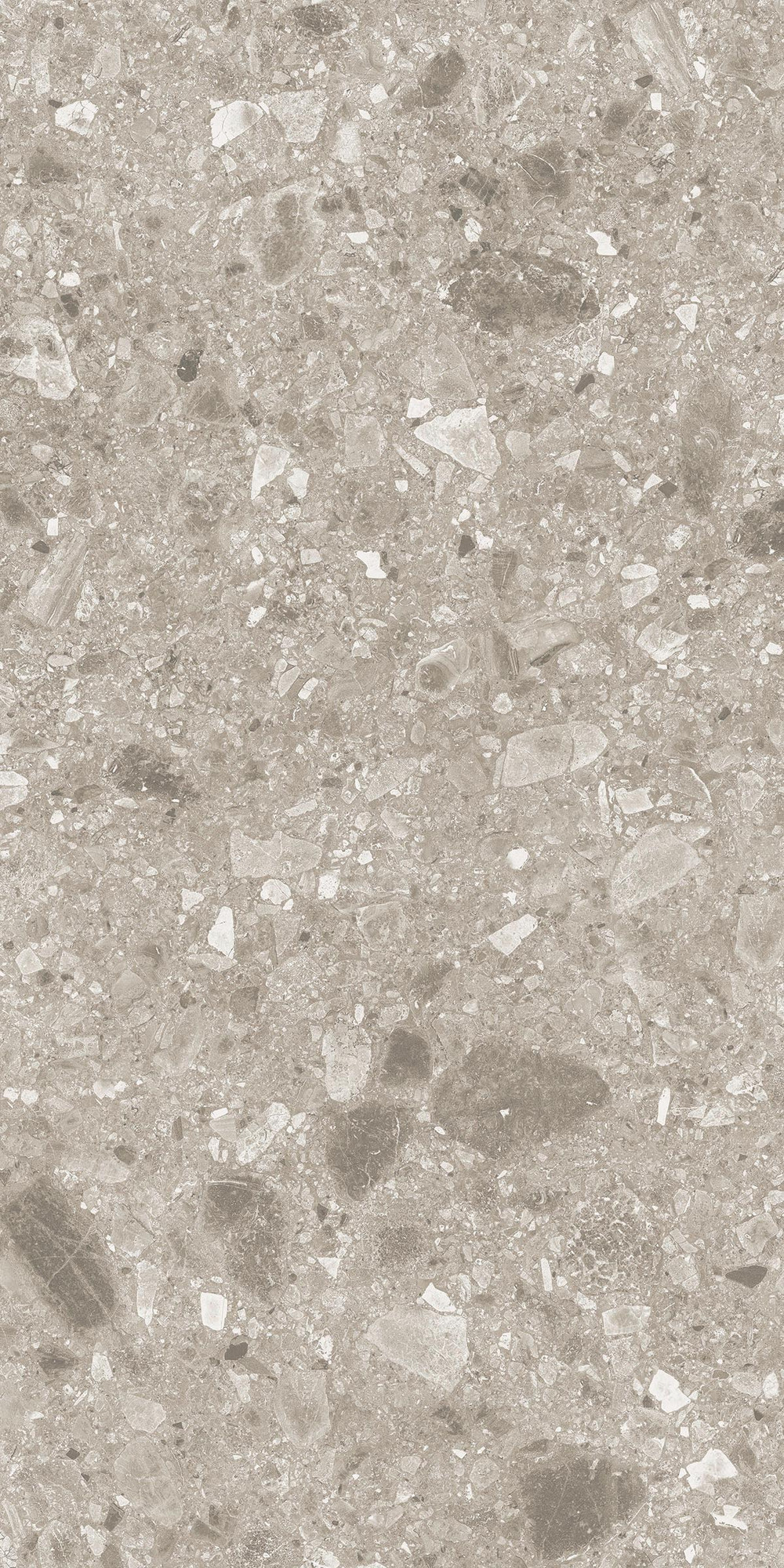 Pietra Di Gre Taupe Matte Porcelain Tile 60x120