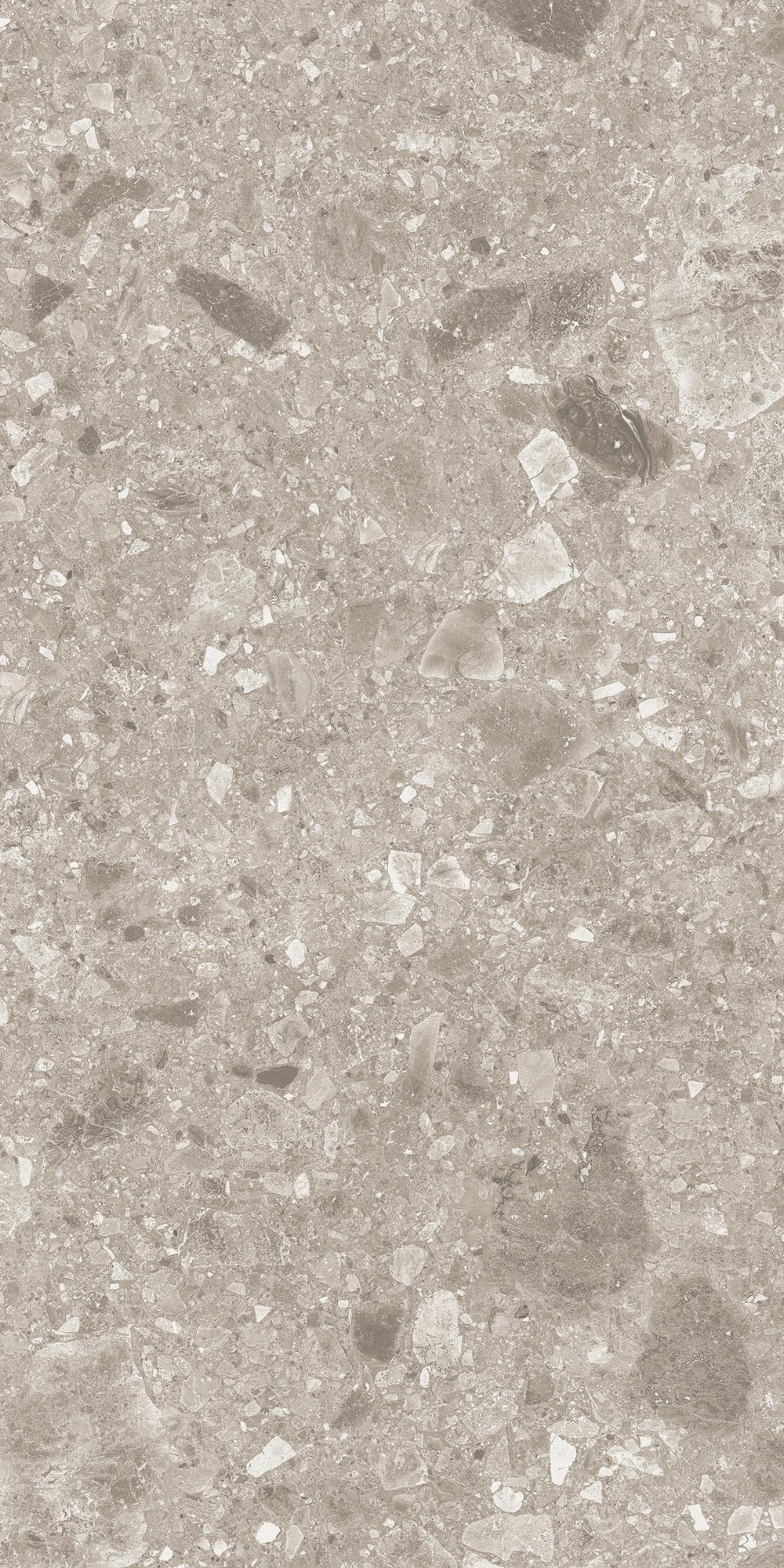 Pietra Di Gre Taupe Matte Porcelain Tile 60x120