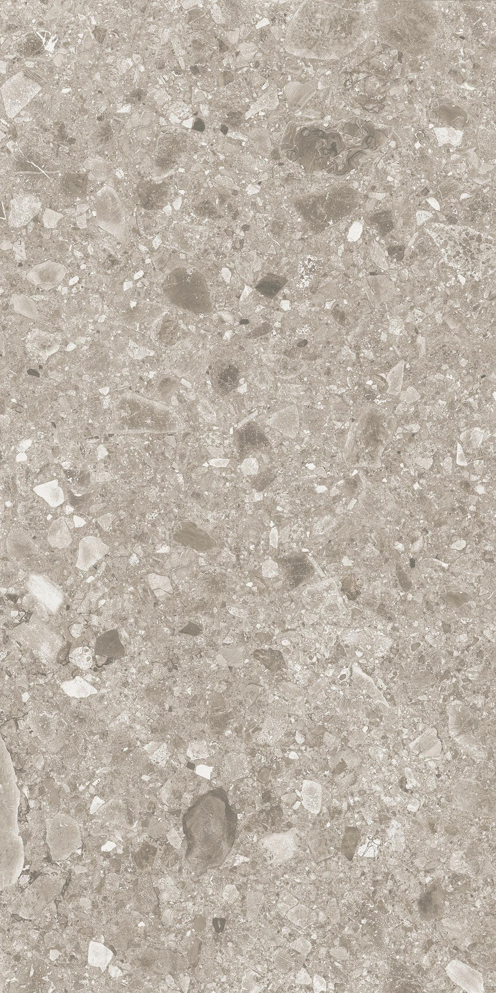 Pietra Di Gre Taupe Matte Porcelain Tile 60x120