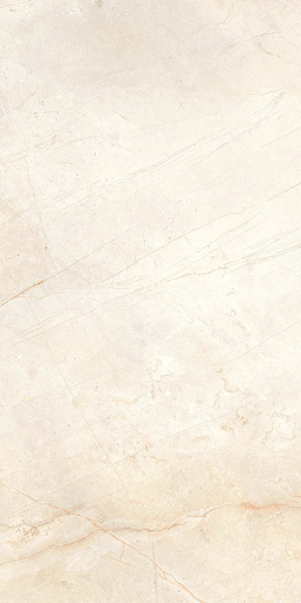 Royal Gallery Polished Bone Metalix Porcelain Tile