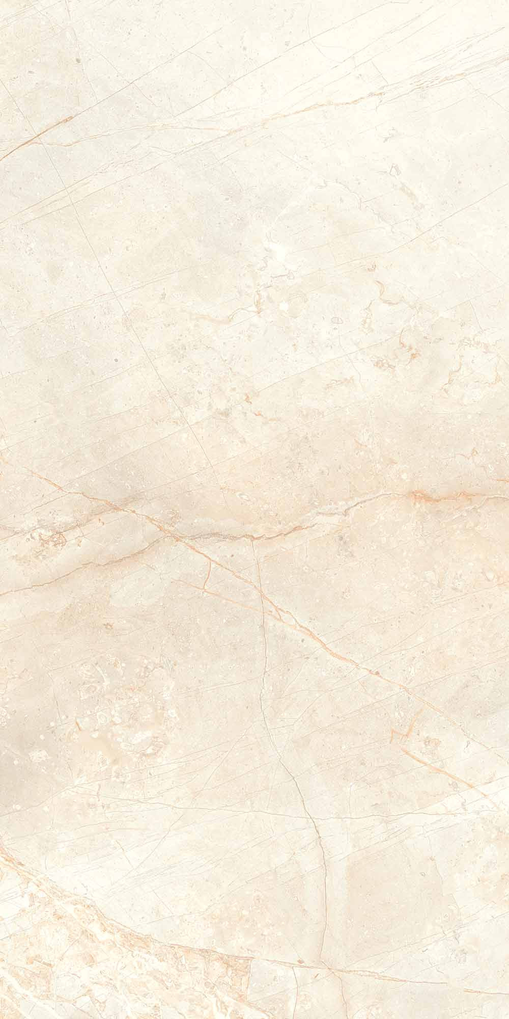 Royal Gallery Polished Bone Metalix Porcelain Tile