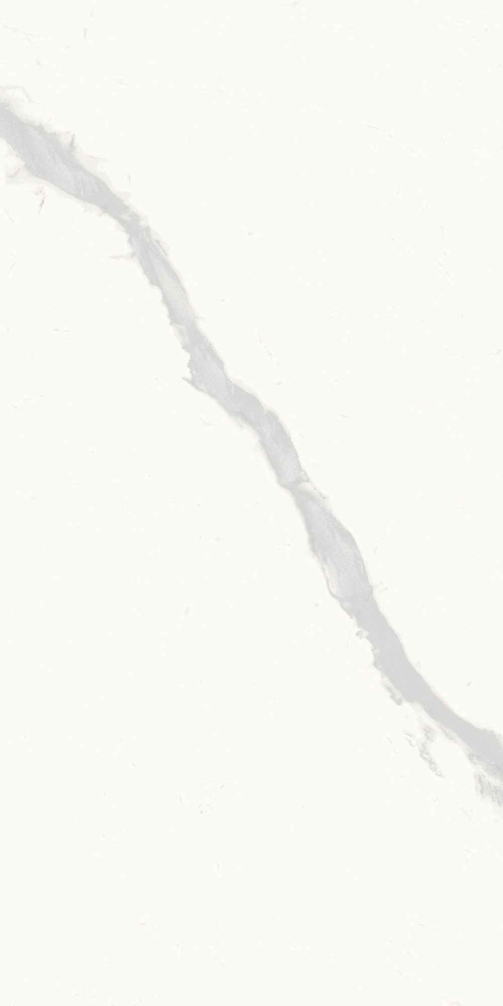 Royal Marbles Polished Calacatta Calma Porcelain Tile