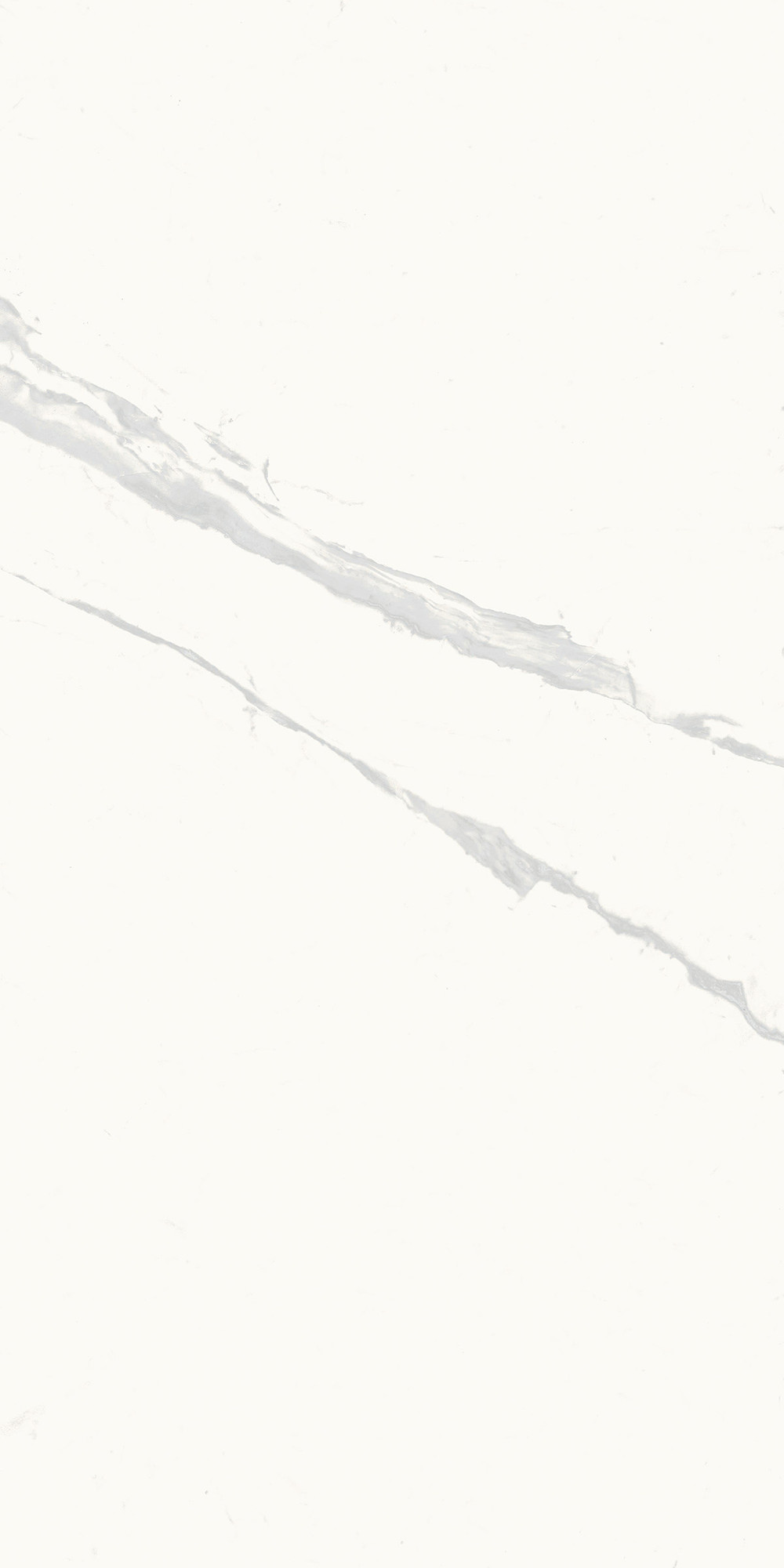 Royal Marbles Polished Calacatta Calma Porcelain Tile