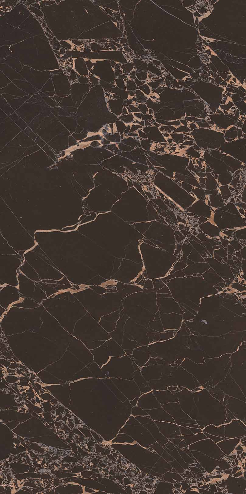 Royal Marbles Polished Black Portoro Porcelain Tile