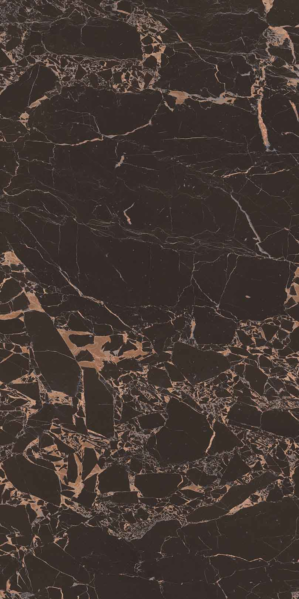 Royal Marbles Polished Black Portoro Porcelain Tile