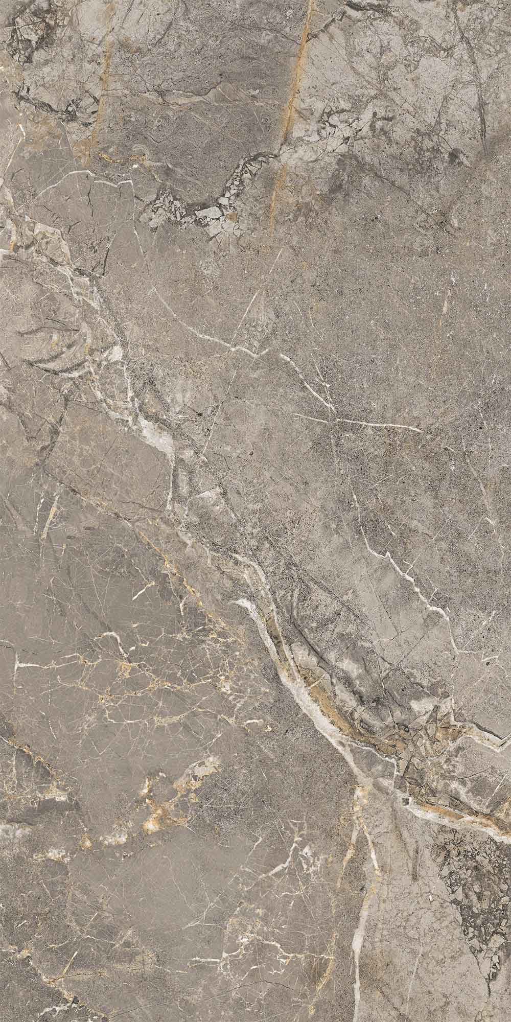 Fiori Di Bosco Polished Grey Porcelian Tile