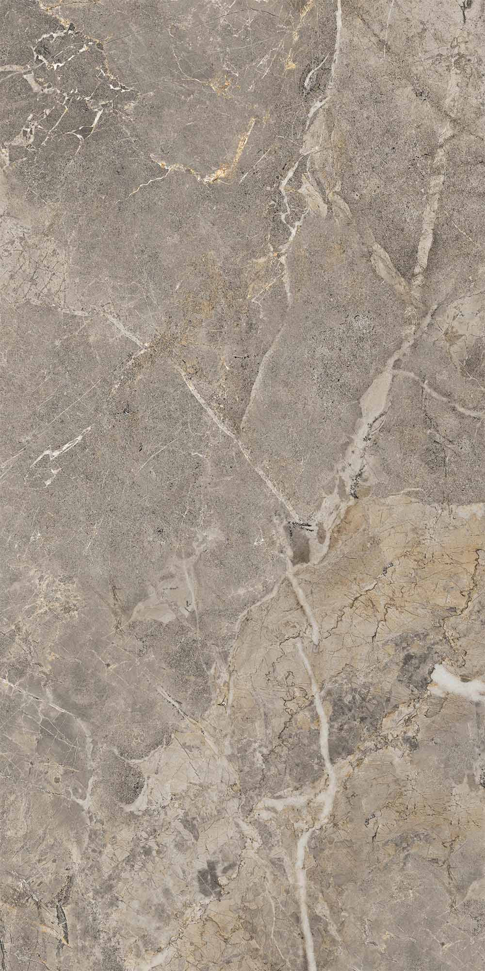Fiori Di Bosco Polished Grey Porcelian Tile