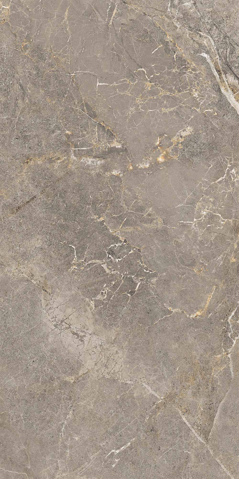 Fiori Di Bosco Polished Grey Porcelian Tile