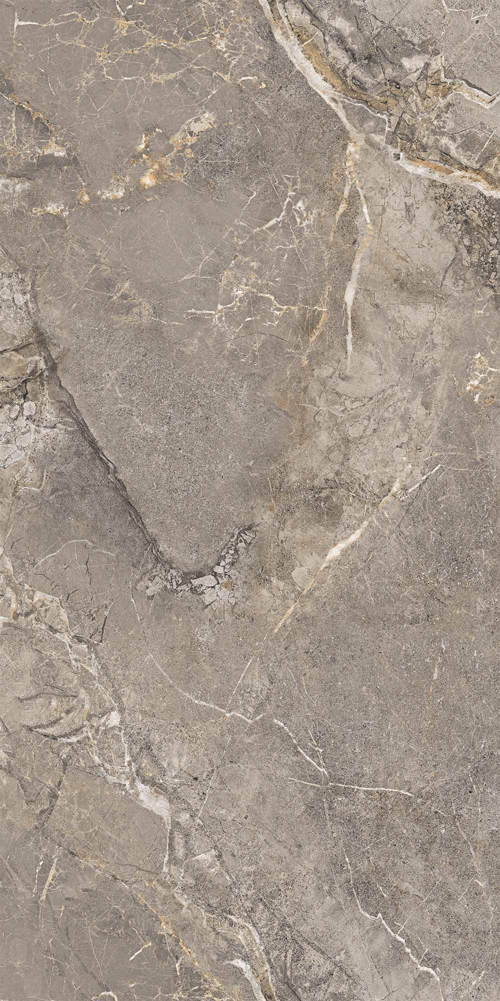 Fiori Di Bosco Polished Grey Porcelian Tile