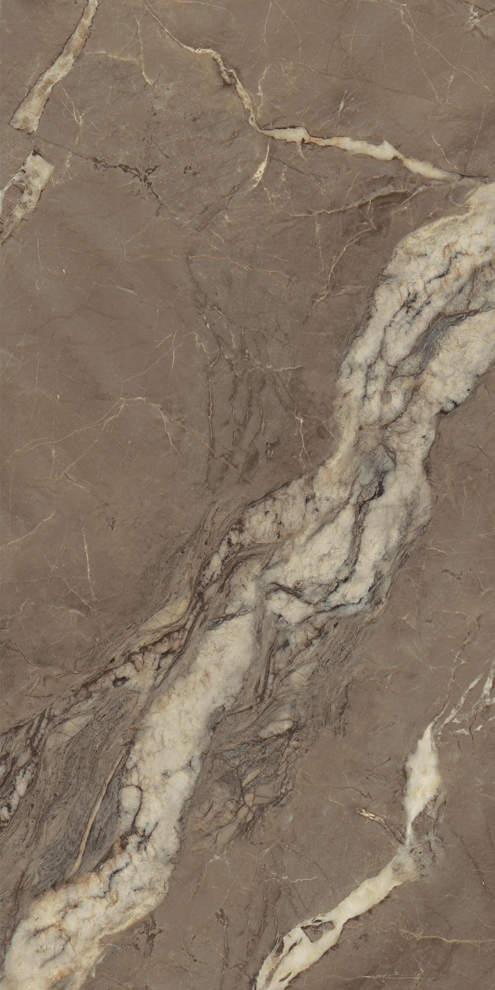 Berry Brown Marble Polished Brown Porcelain Tile