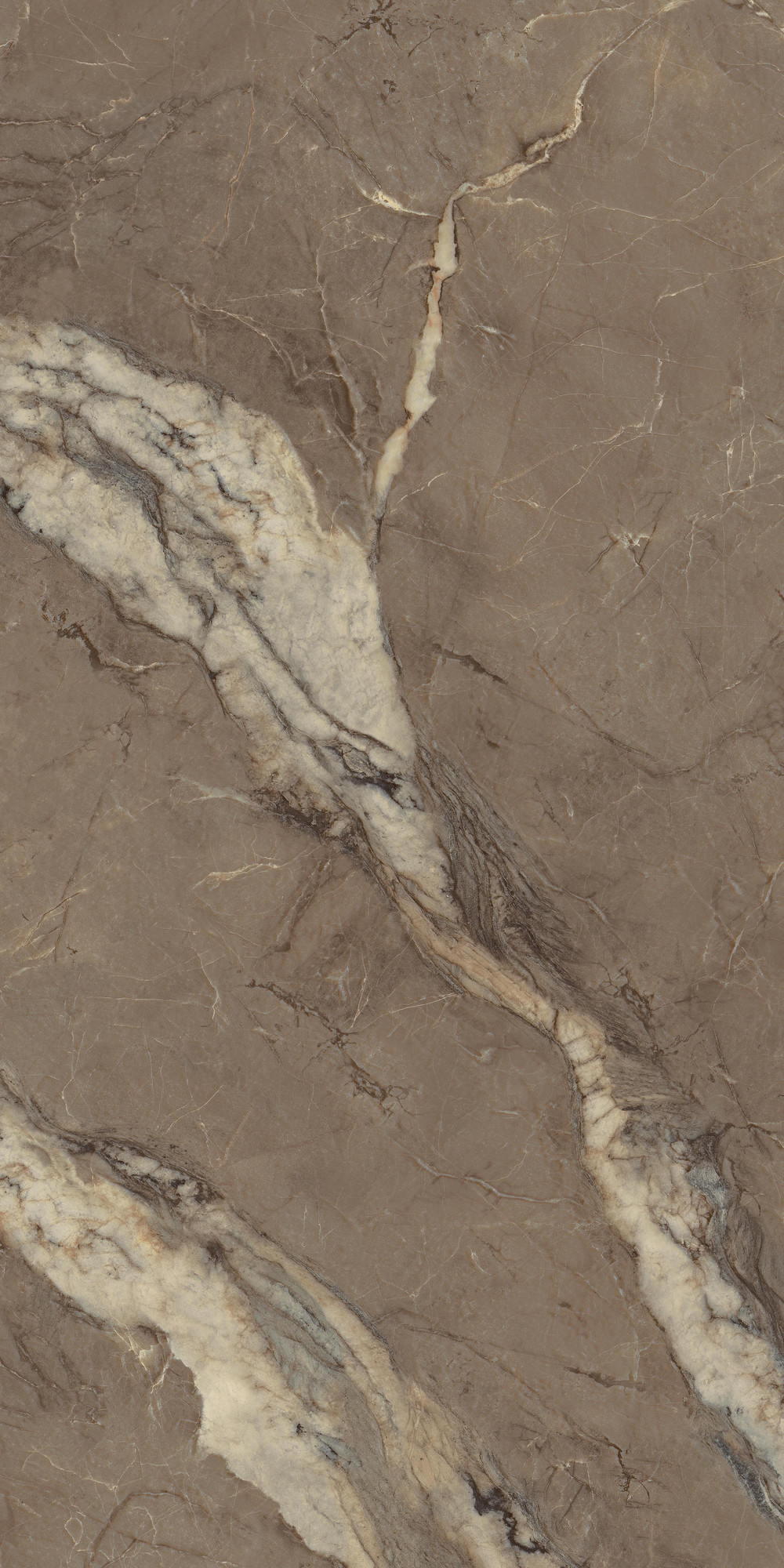 Berry Brown Marble Polished Brown Porcelain Tile