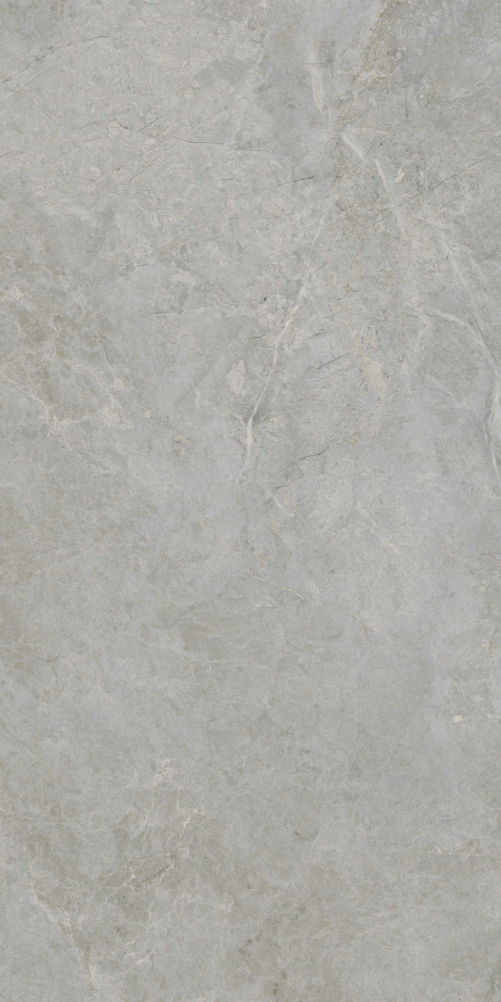 Begos Polished Grey Porcelain Tile