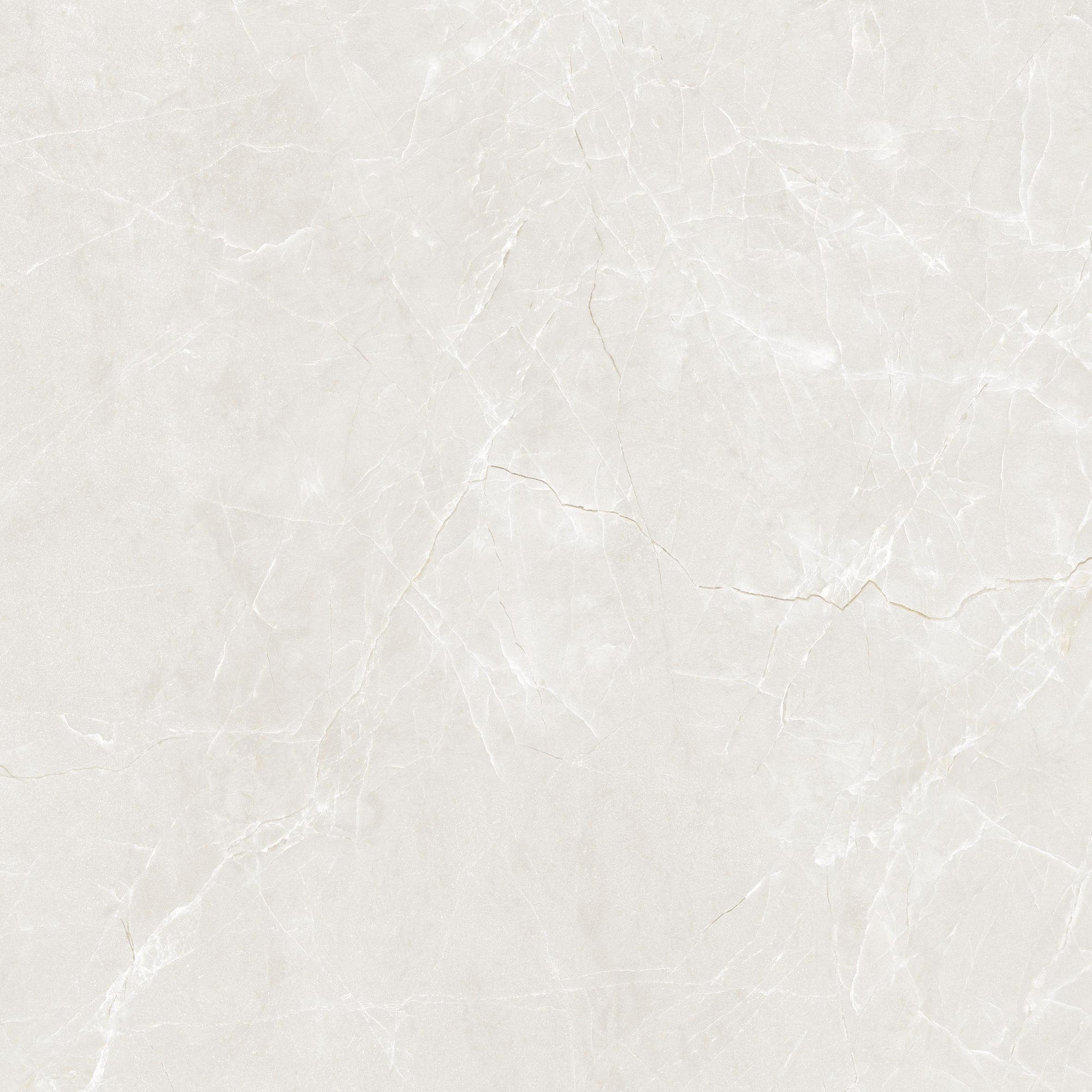 Mandri Polished Bone Porcelain Tile 59X59