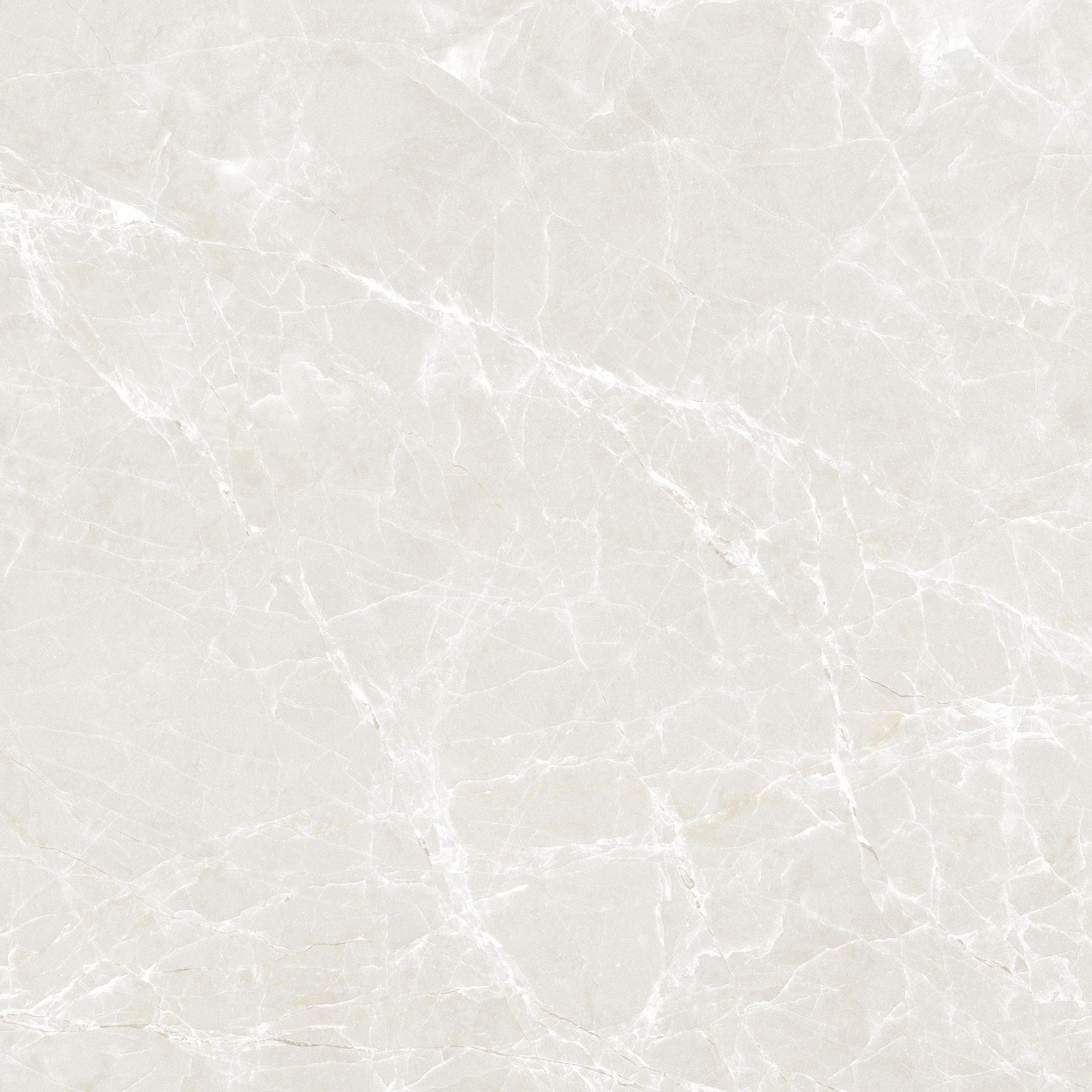 Mandri Polished Bone Porcelain Tile 59X59
