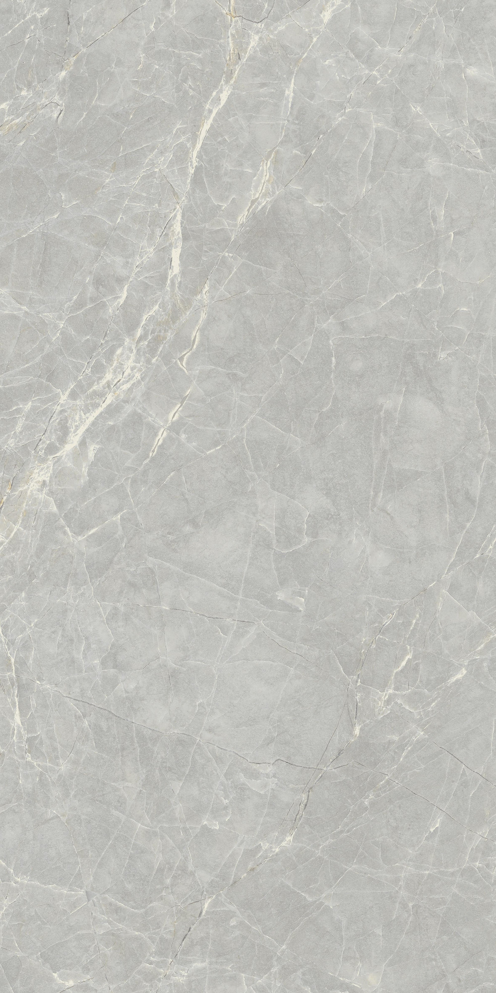 Mandri  Polished Grey Porcelain Tile