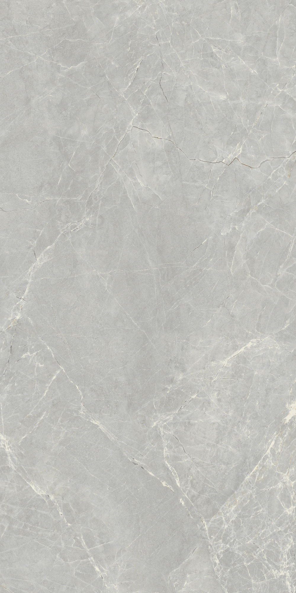 Mandri  Polished Grey Porcelain Tile
