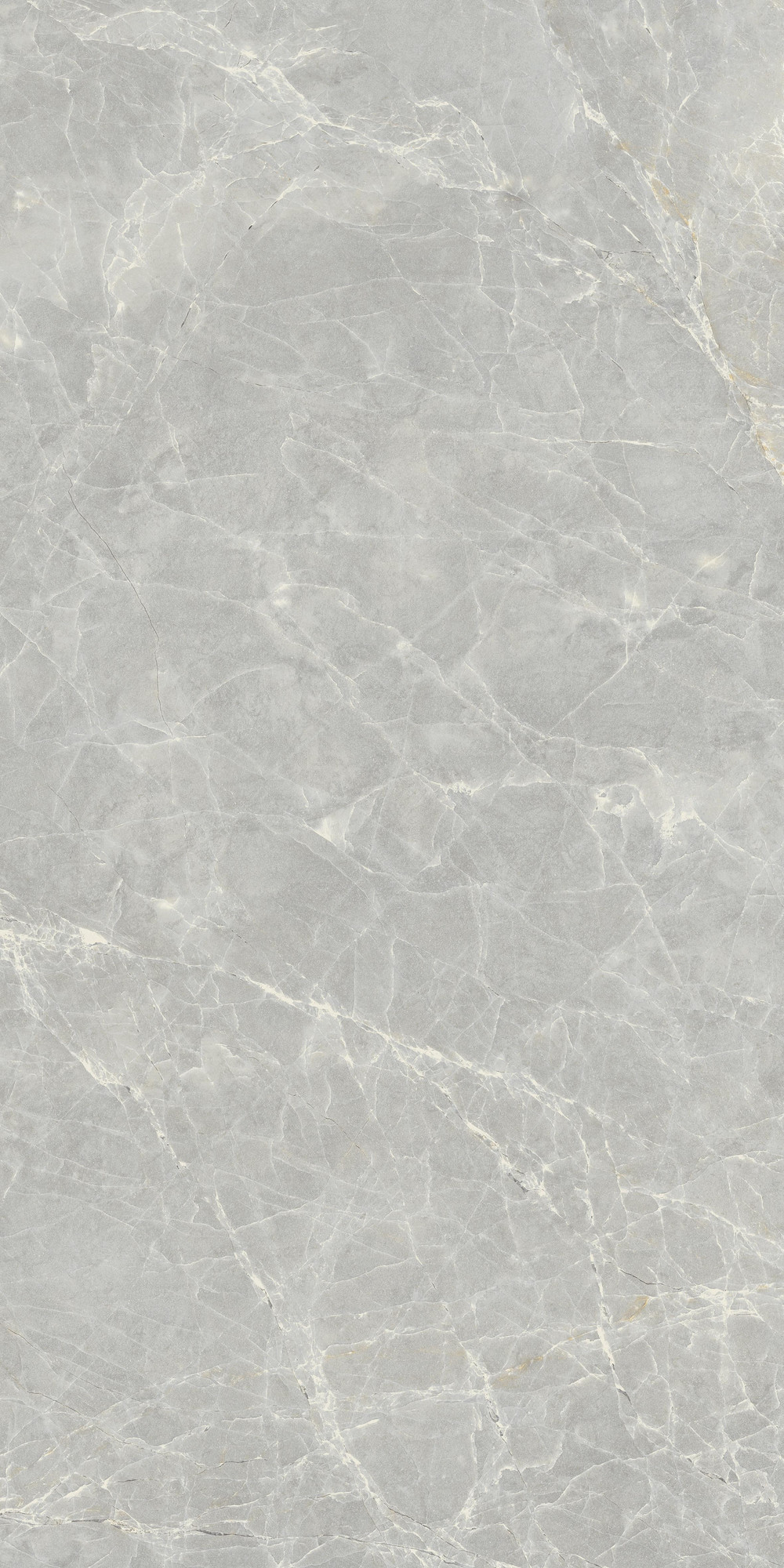 Mandri  Polished Grey Porcelain Tile