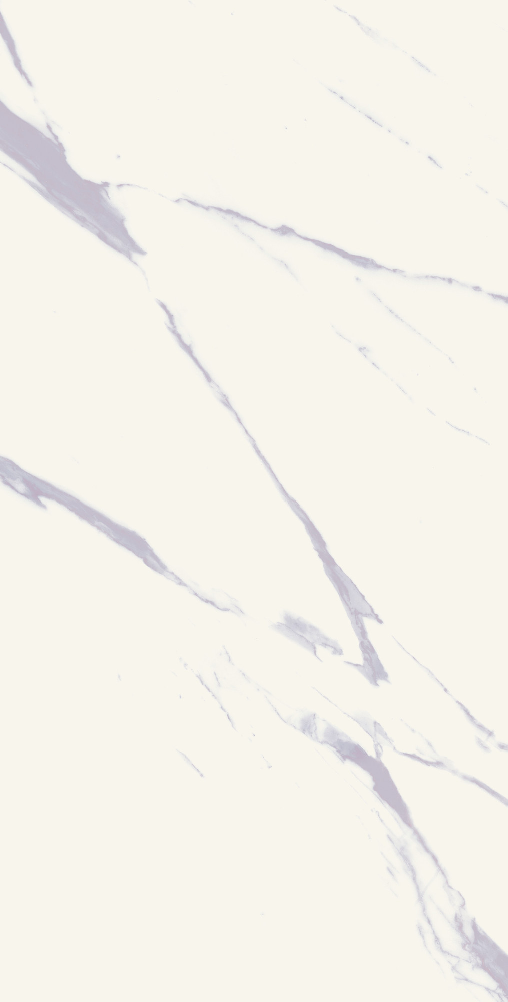 Calacatta Calma Semi Polished Porcelain Tile