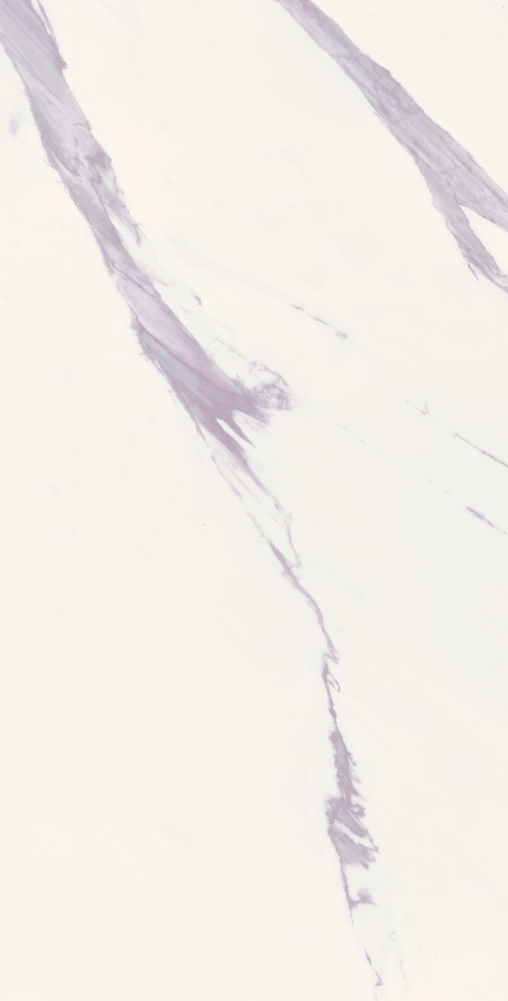 Calacatta Calma Semi Polished Porcelain Tile
