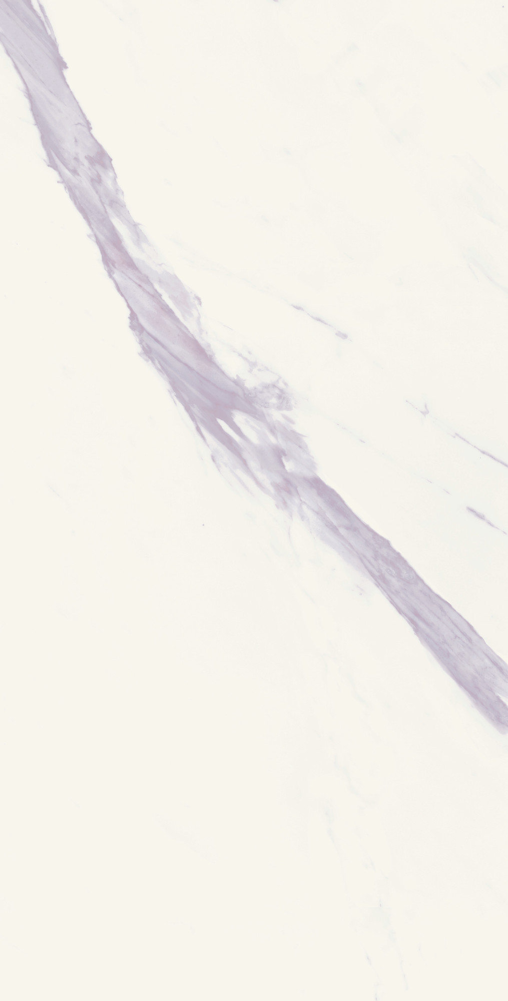 Calacatta Calma Semi Polished Porcelain Tile