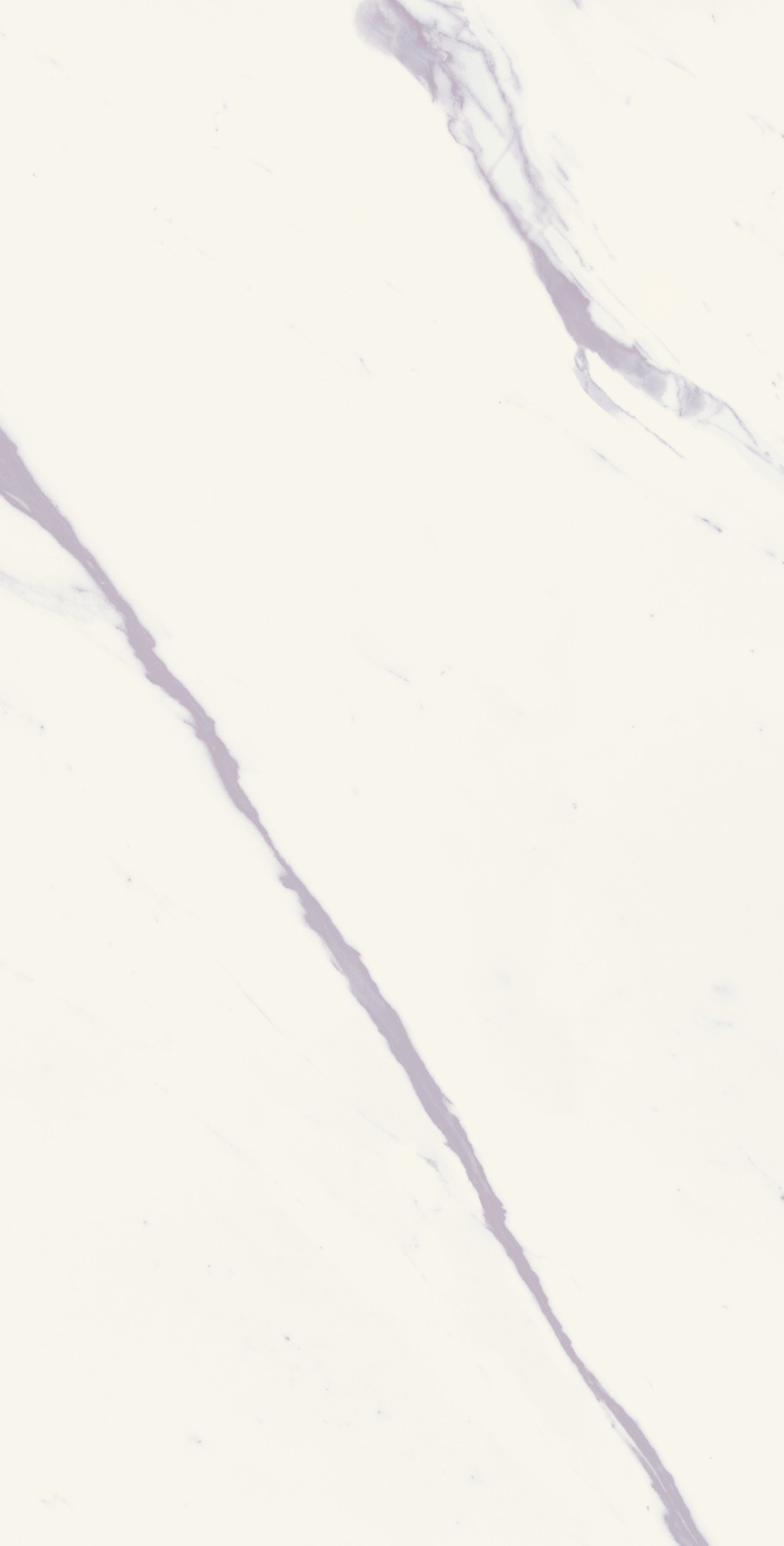 Calacatta Calma Semi Polished Porcelain Tile