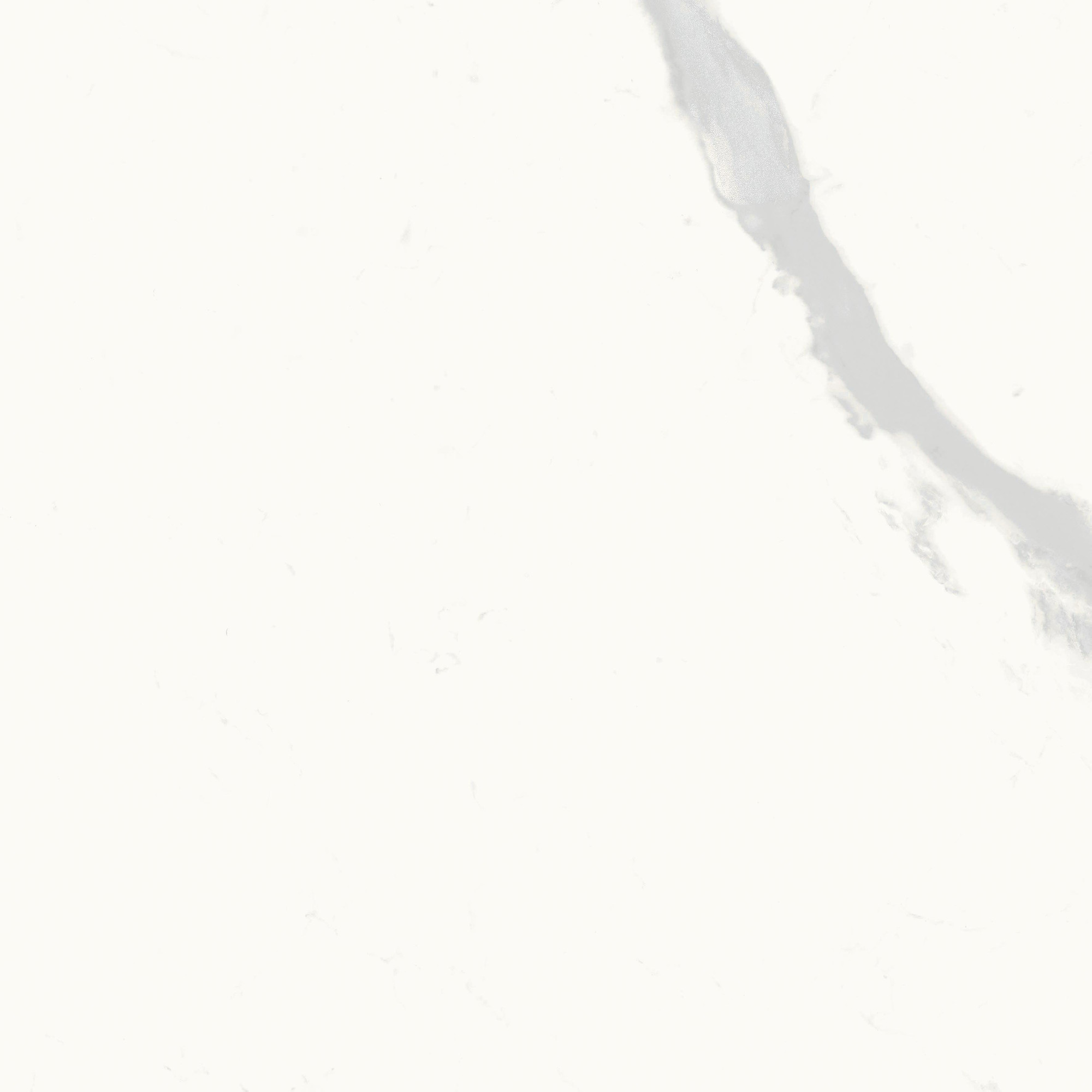 Calacatta Calma Semi Polished Porcelain Tile