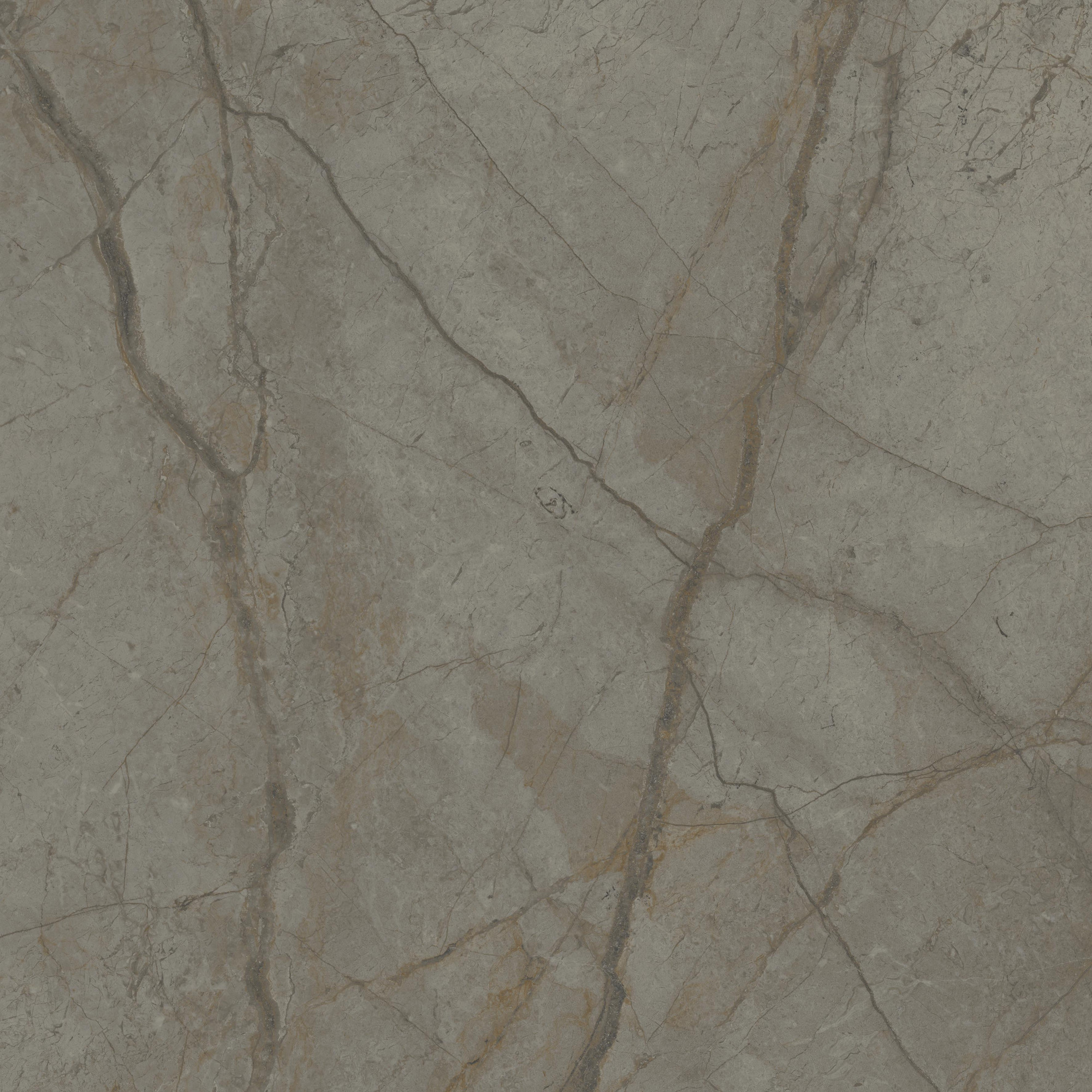 Silver River Semi Polished Dark Porcelain Tile