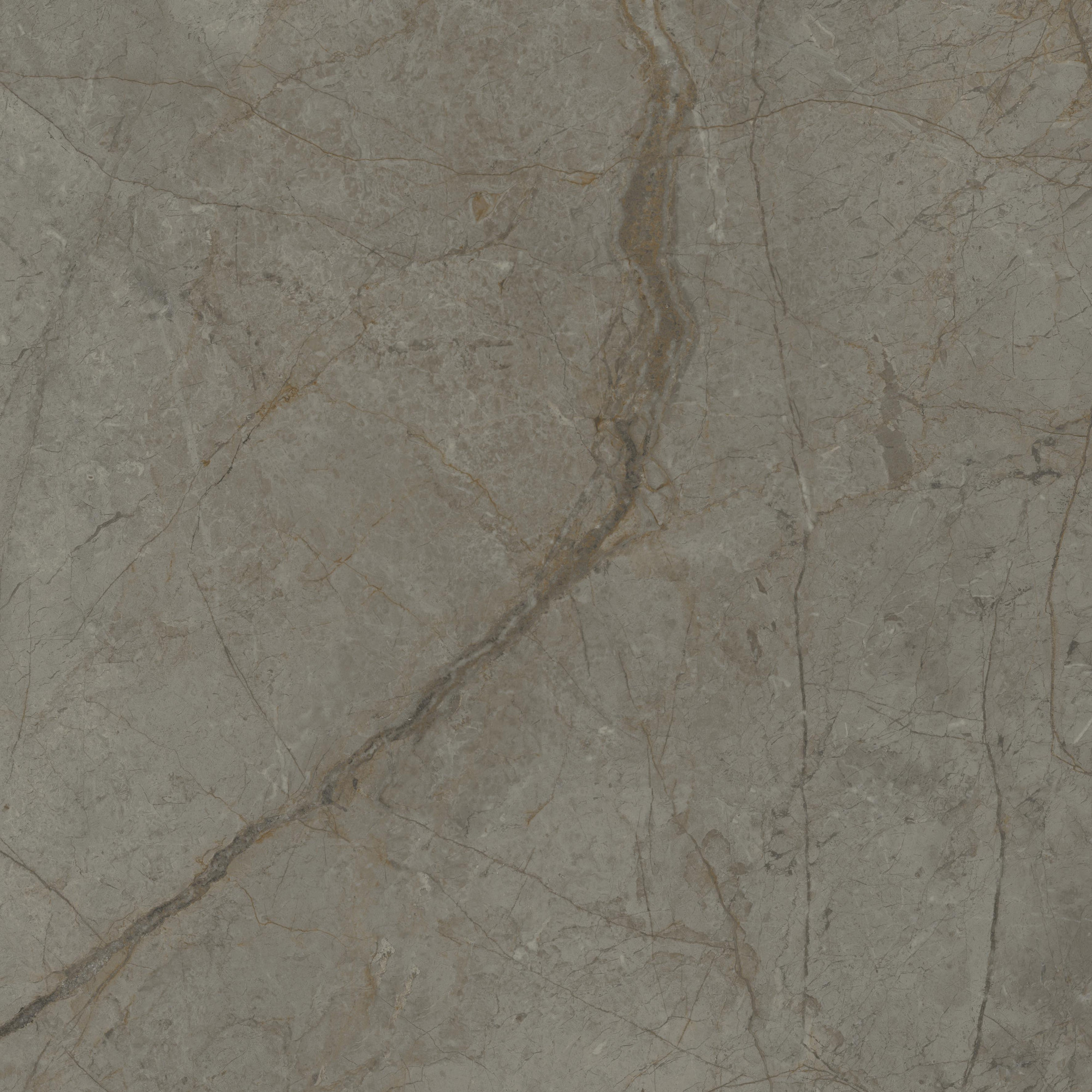 Silver River Semi Polished Dark Porcelain Tile