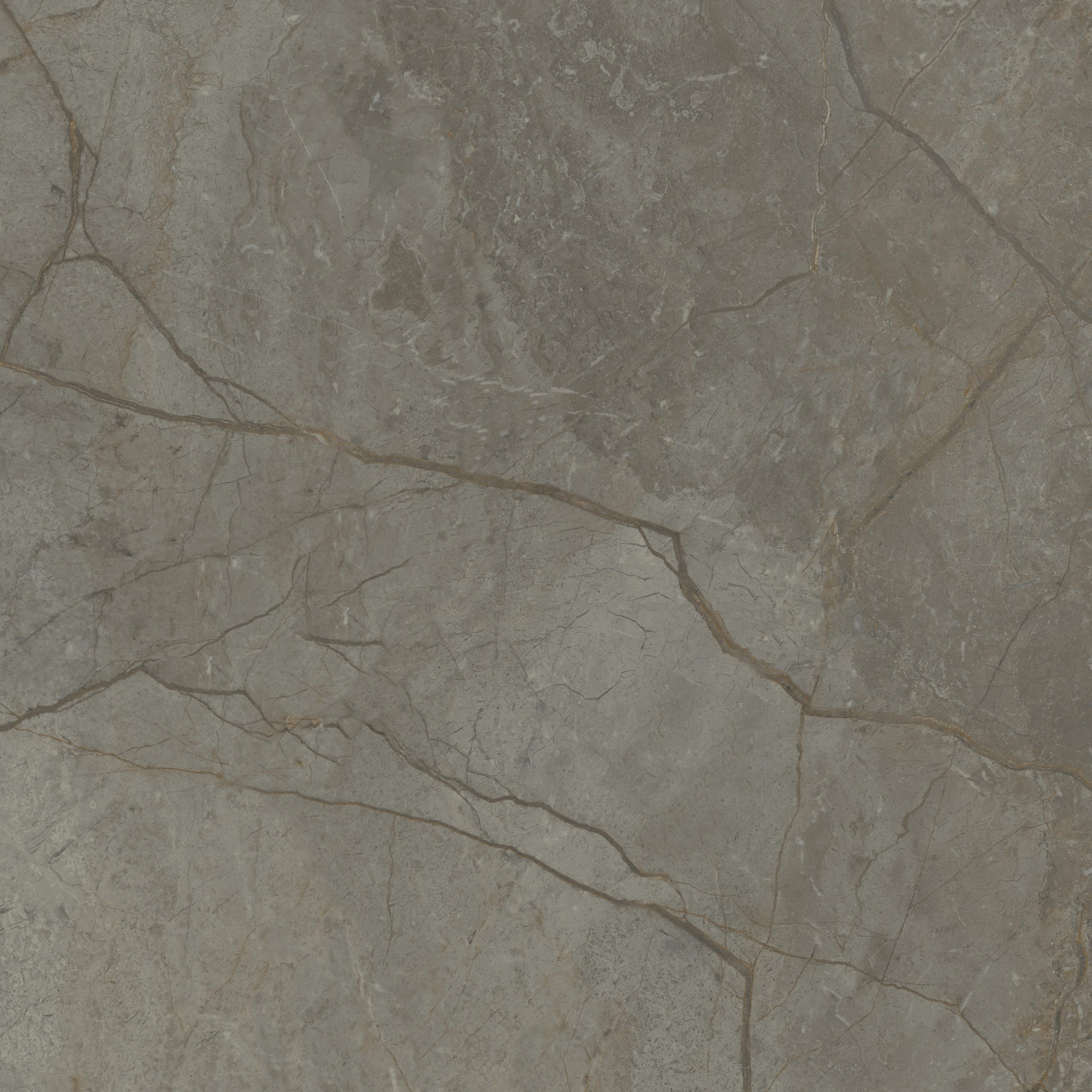 Silver River Polished Dark Porcelain Tile