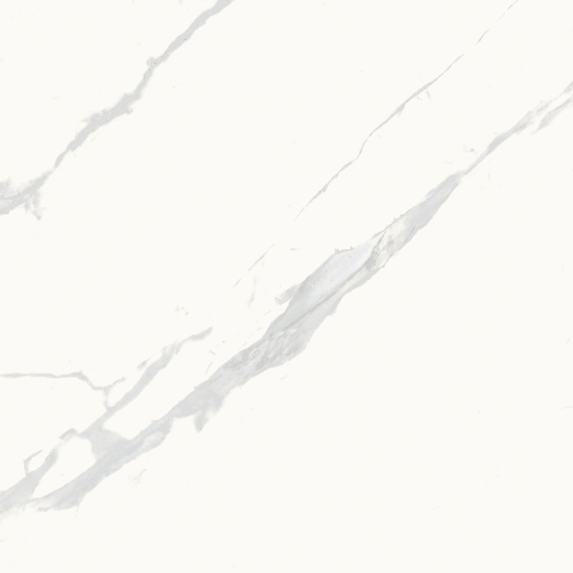 Calacatta Calma Polished Porcelain Tile